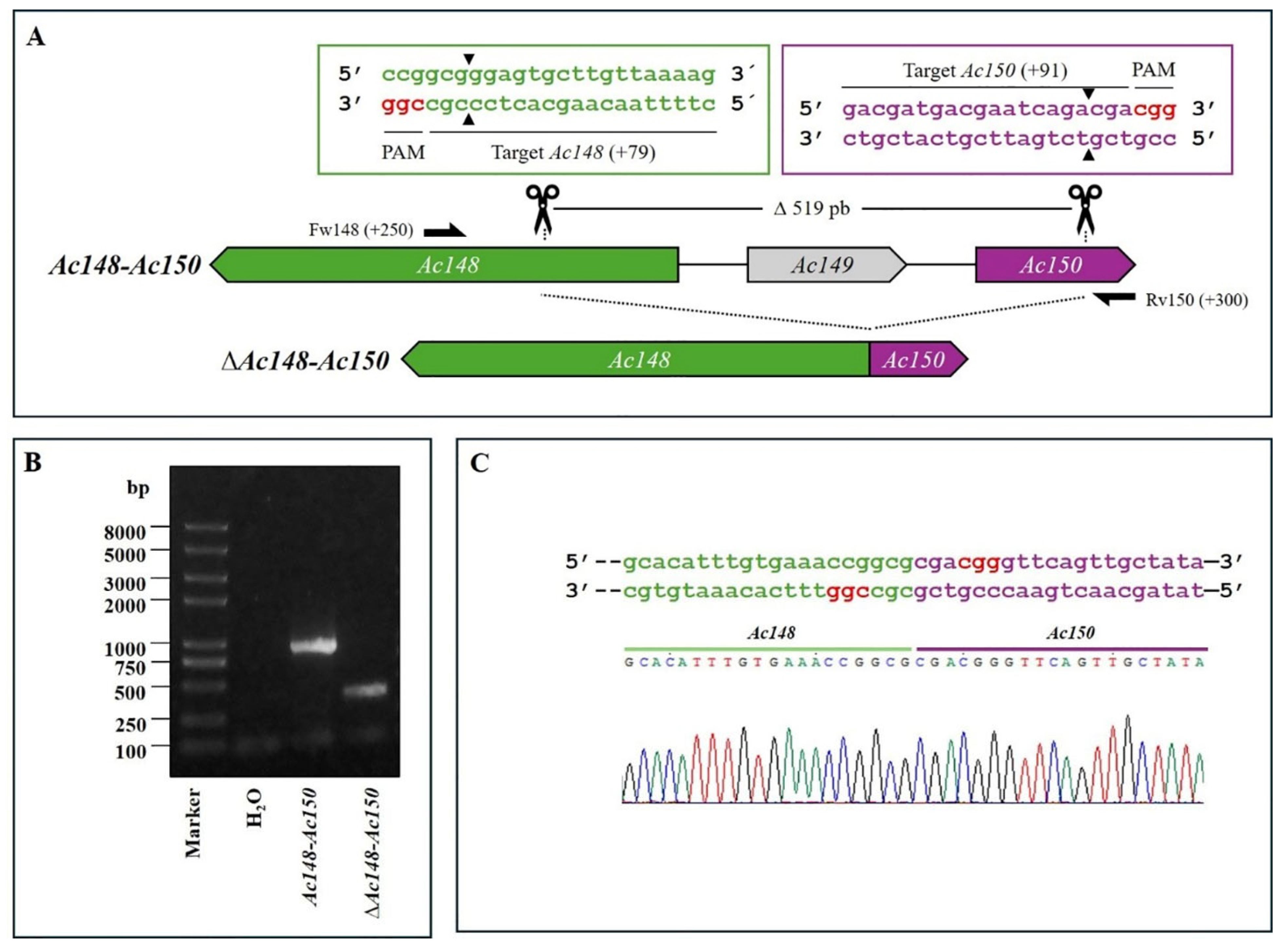 Preprints 165178 g004