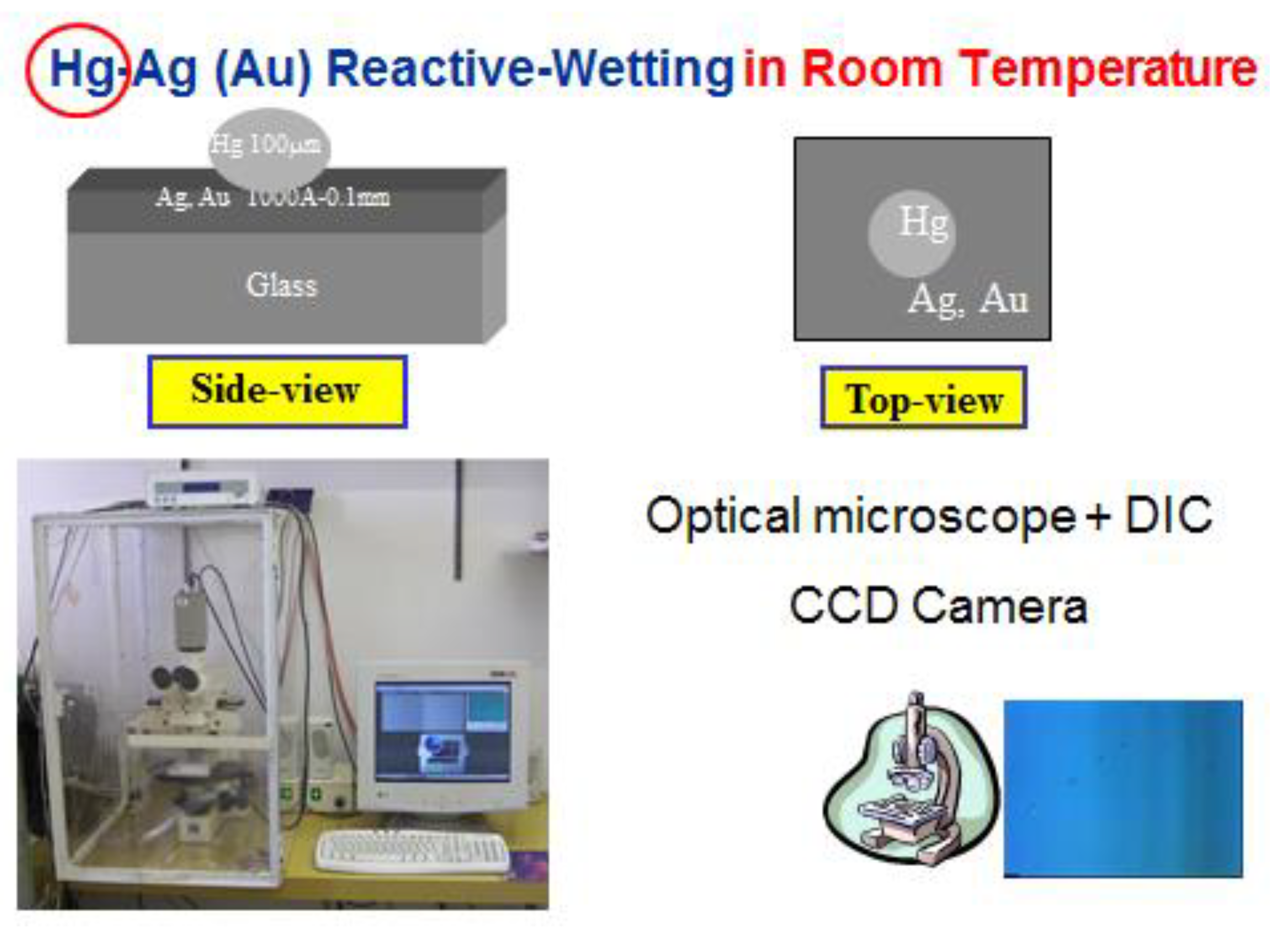 Preprints 162350 g002