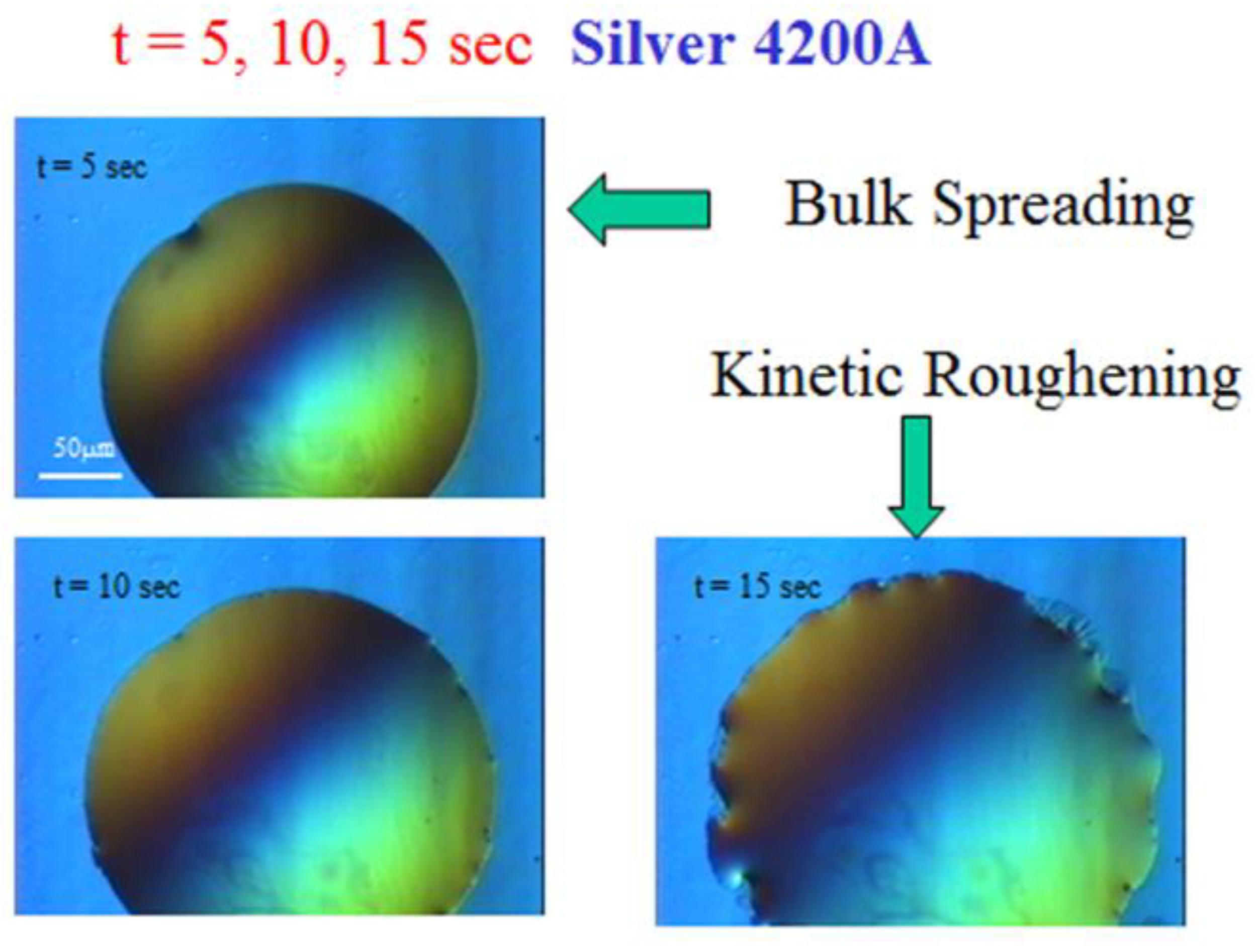 Preprints 162350 g003
