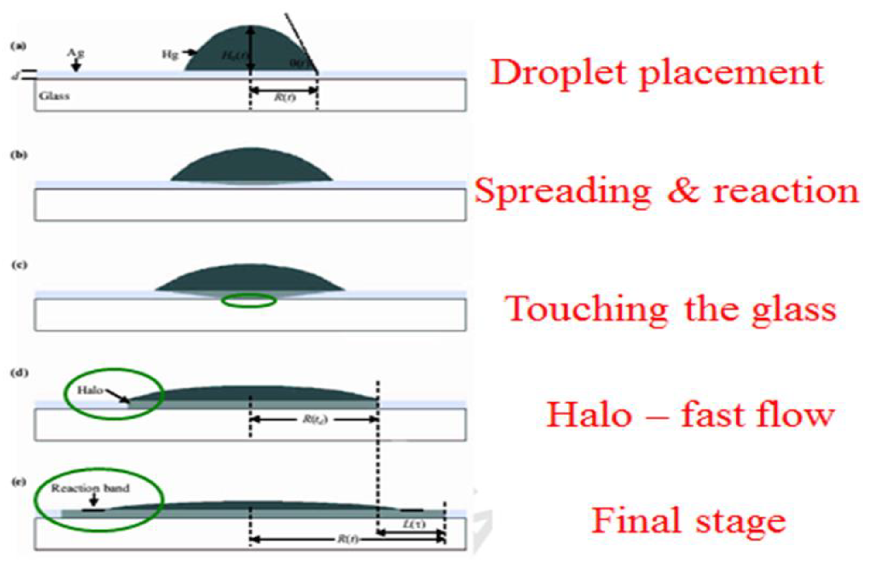 Preprints 162350 g005