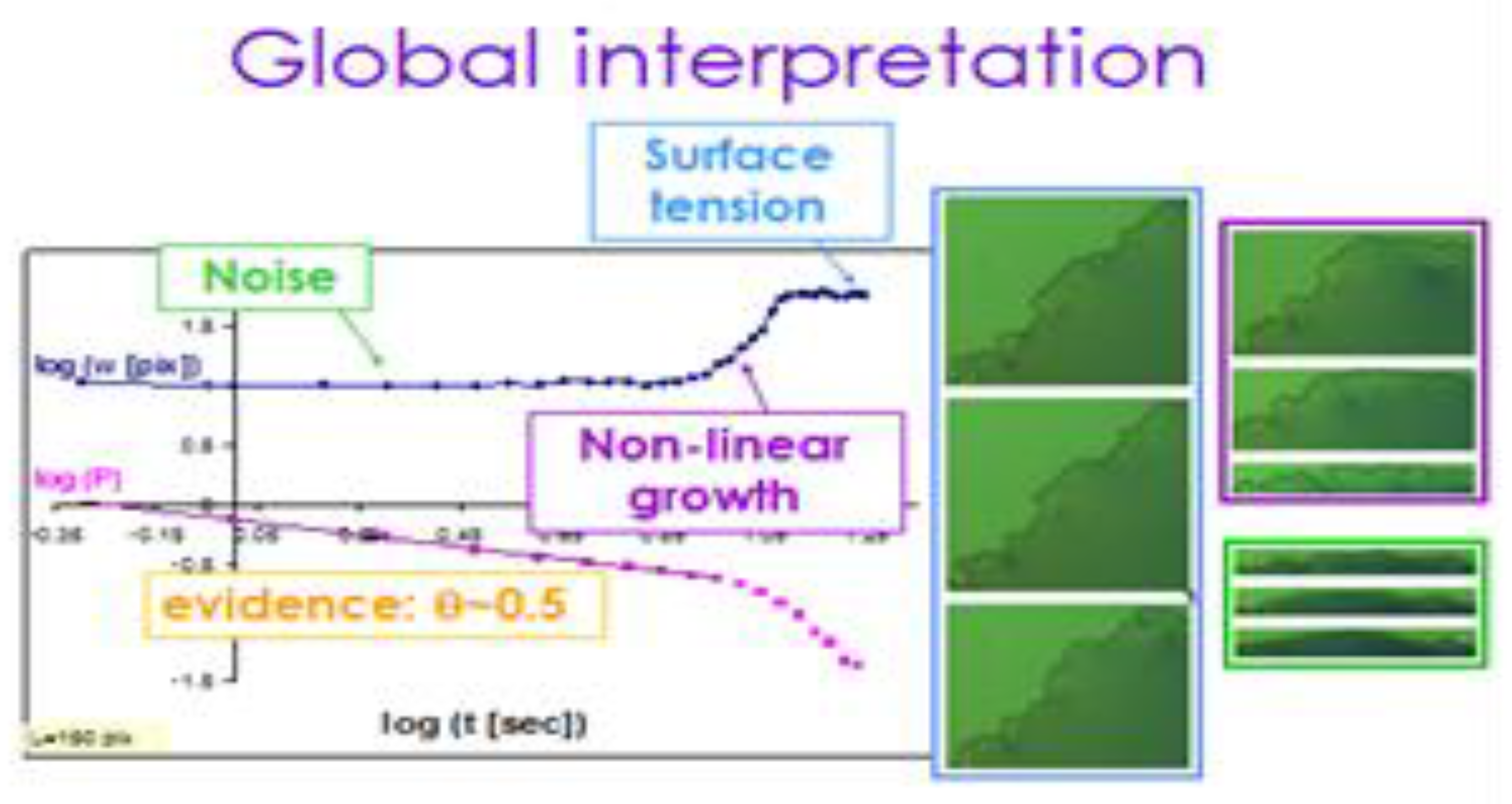 Preprints 162350 g011