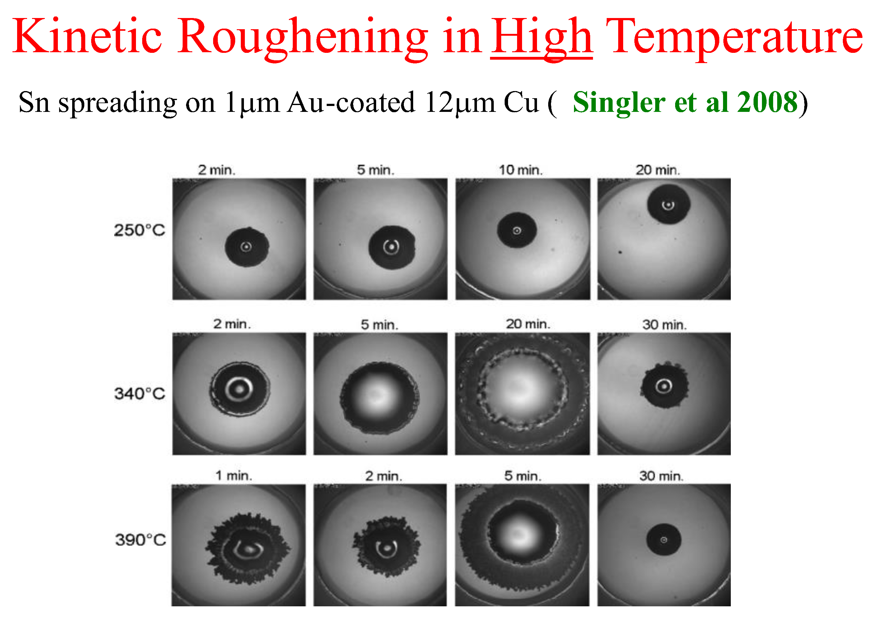 Preprints 162350 g012