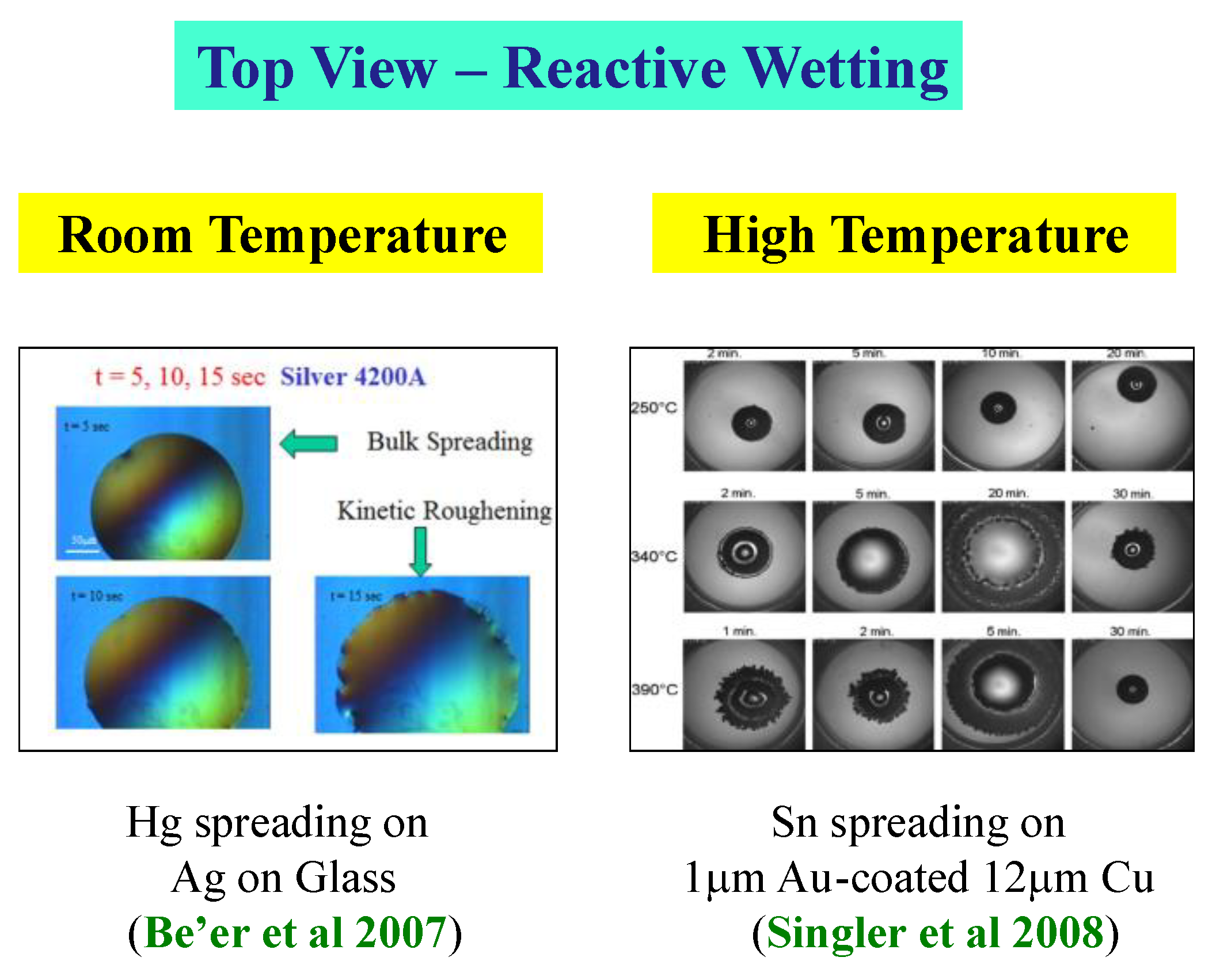 Preprints 162350 g015