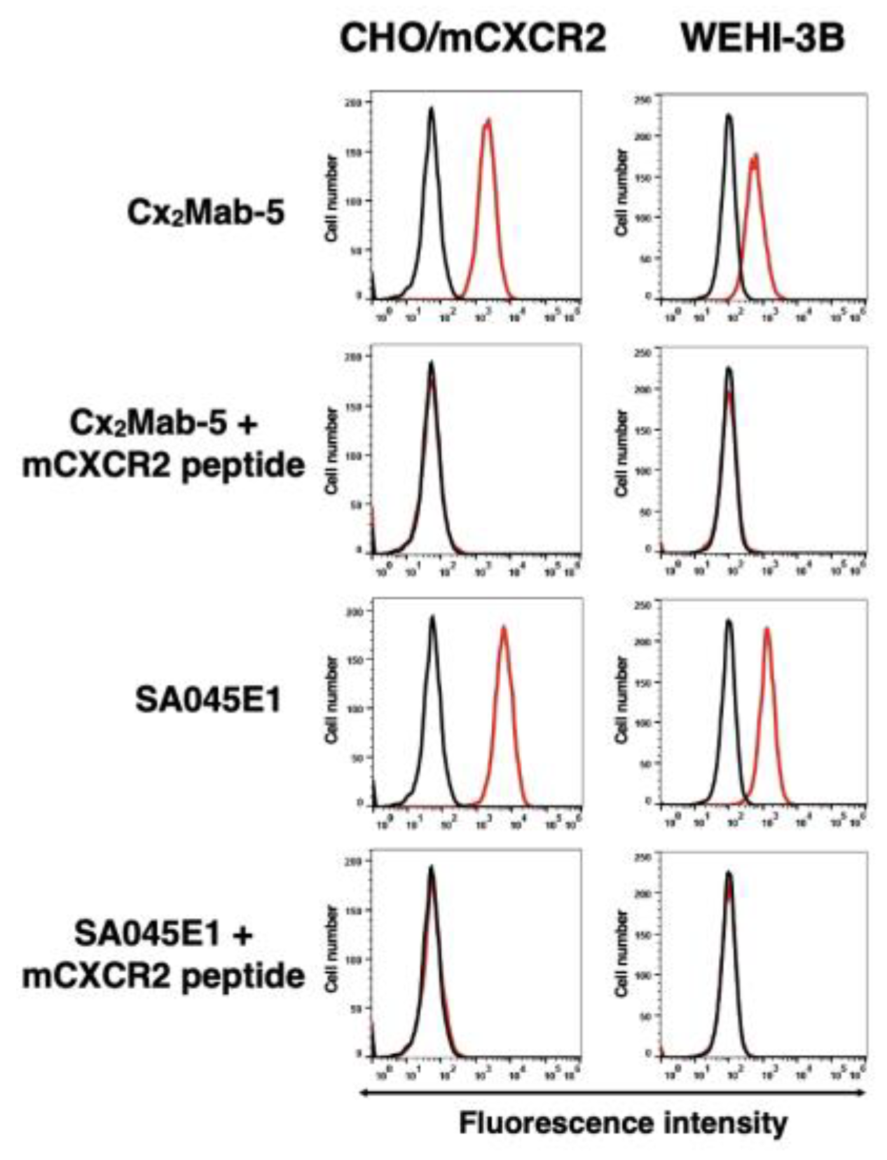 Preprints 184107 g004