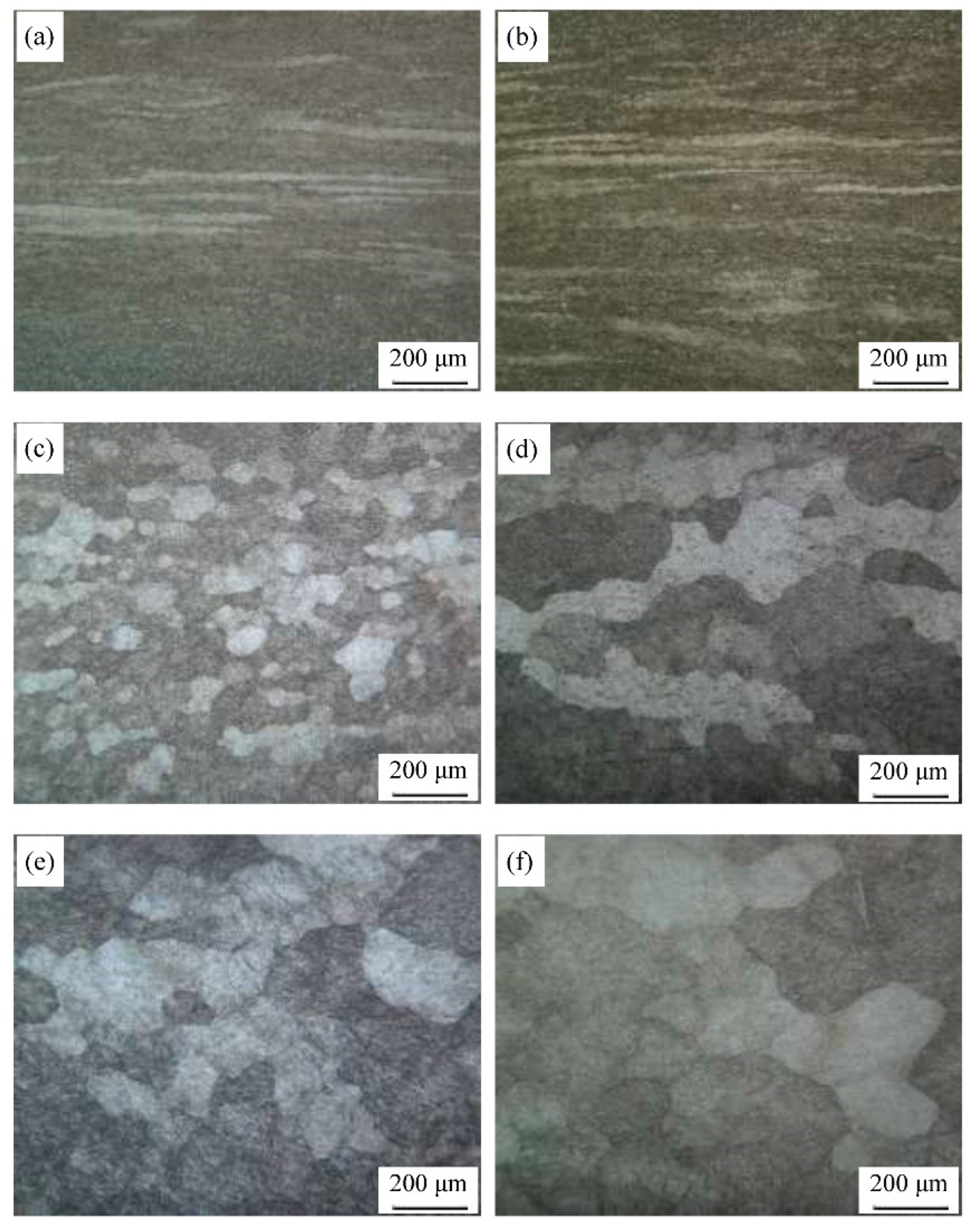 Preprints 84780 g008