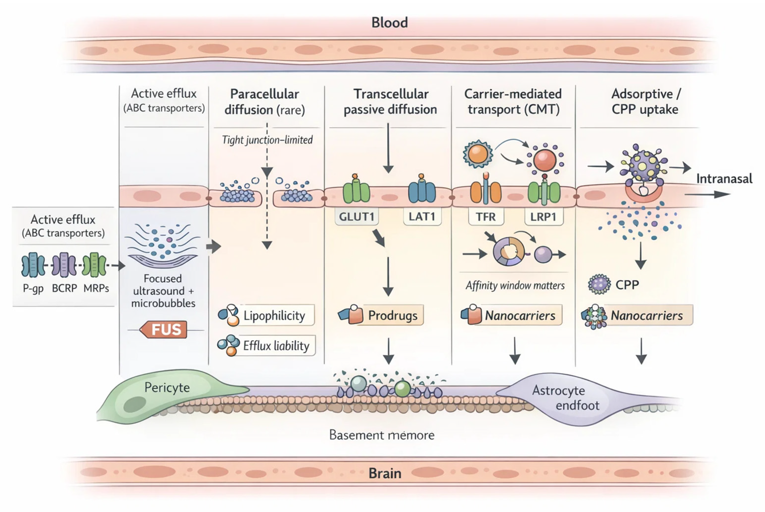 Preprints 197147 g001
