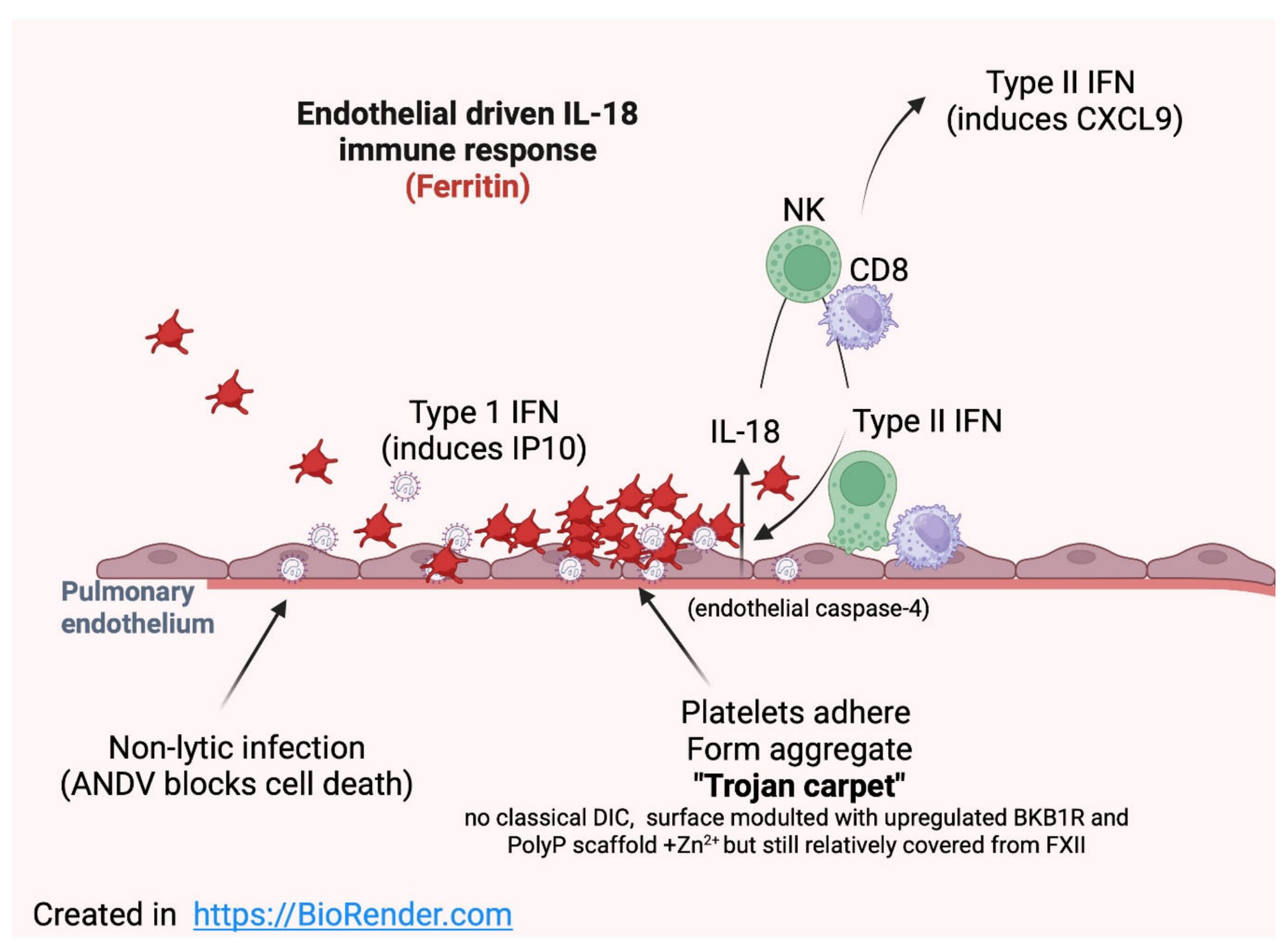 Preprints 215769 g001
