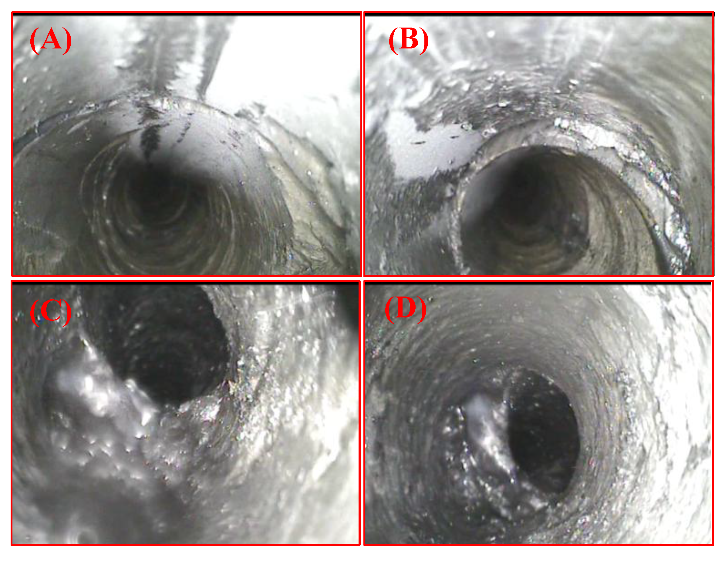 Preprints 194416 g008