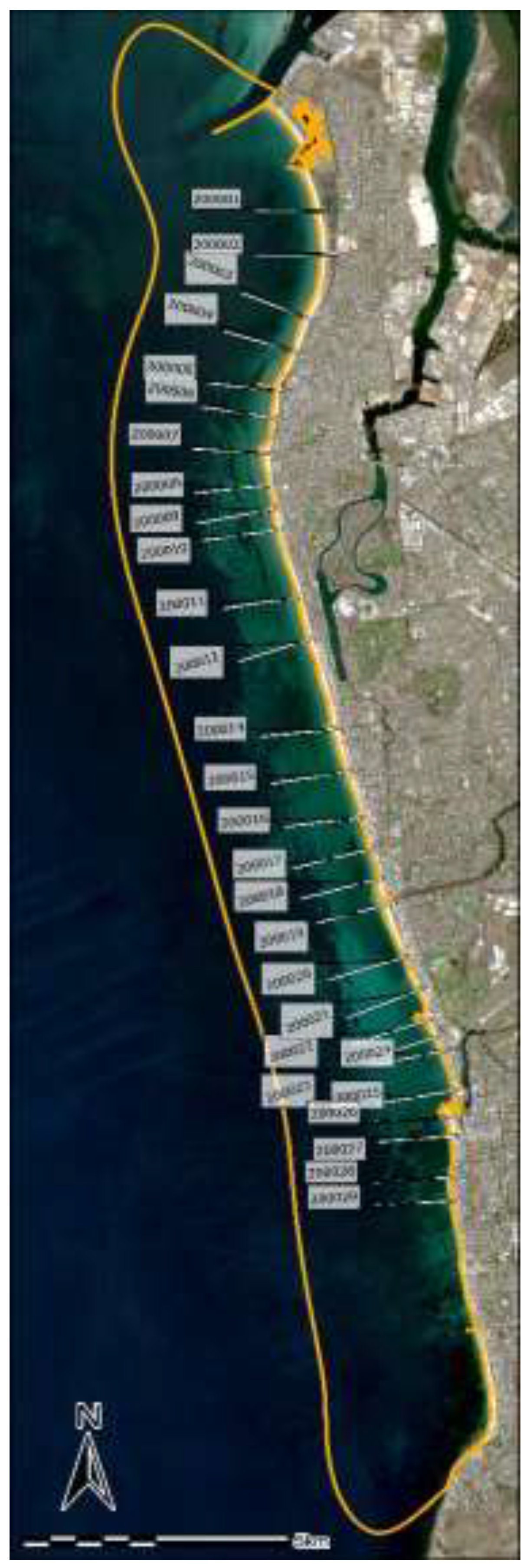 Preprints 148450 g002