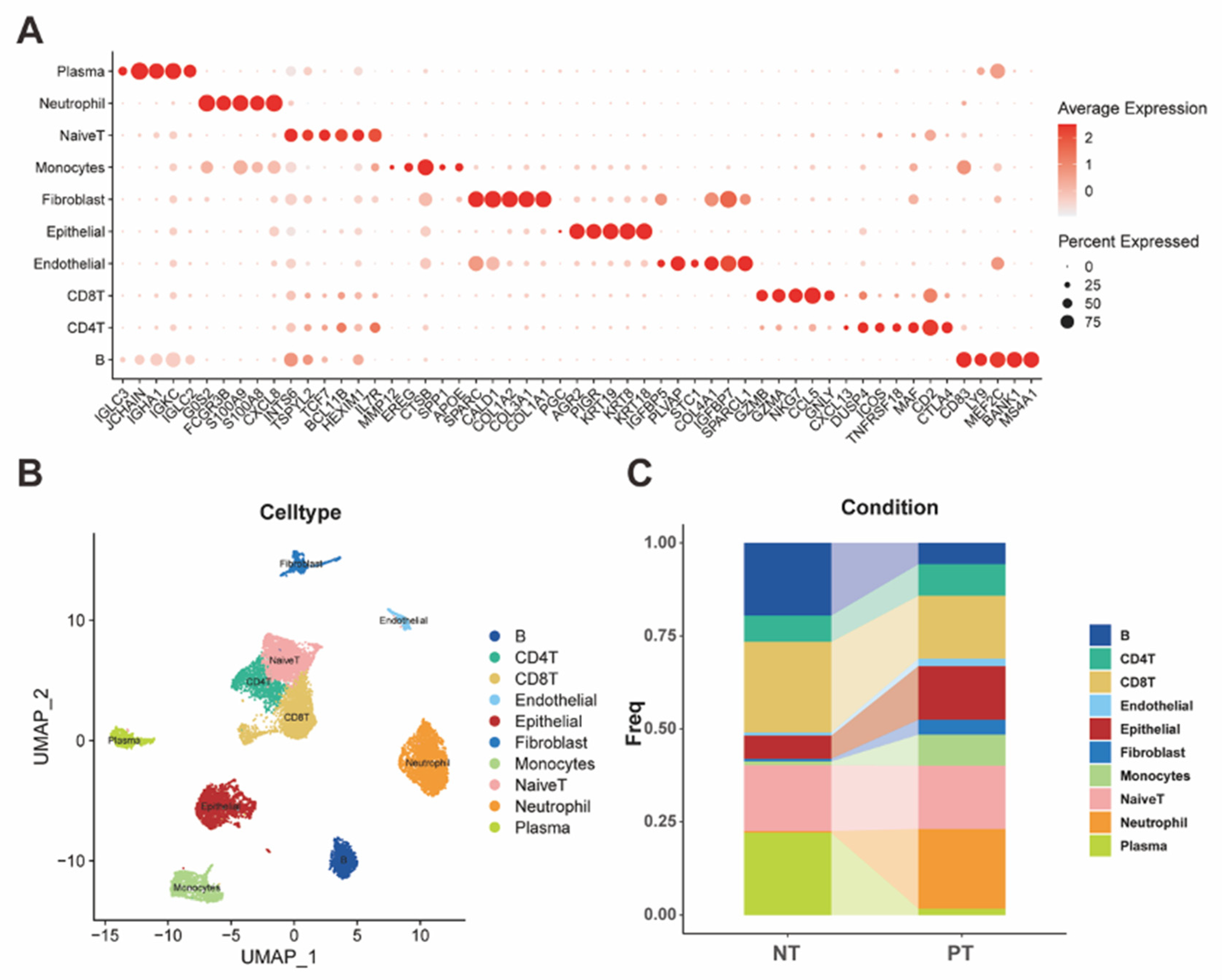 Preprints 188046 g001