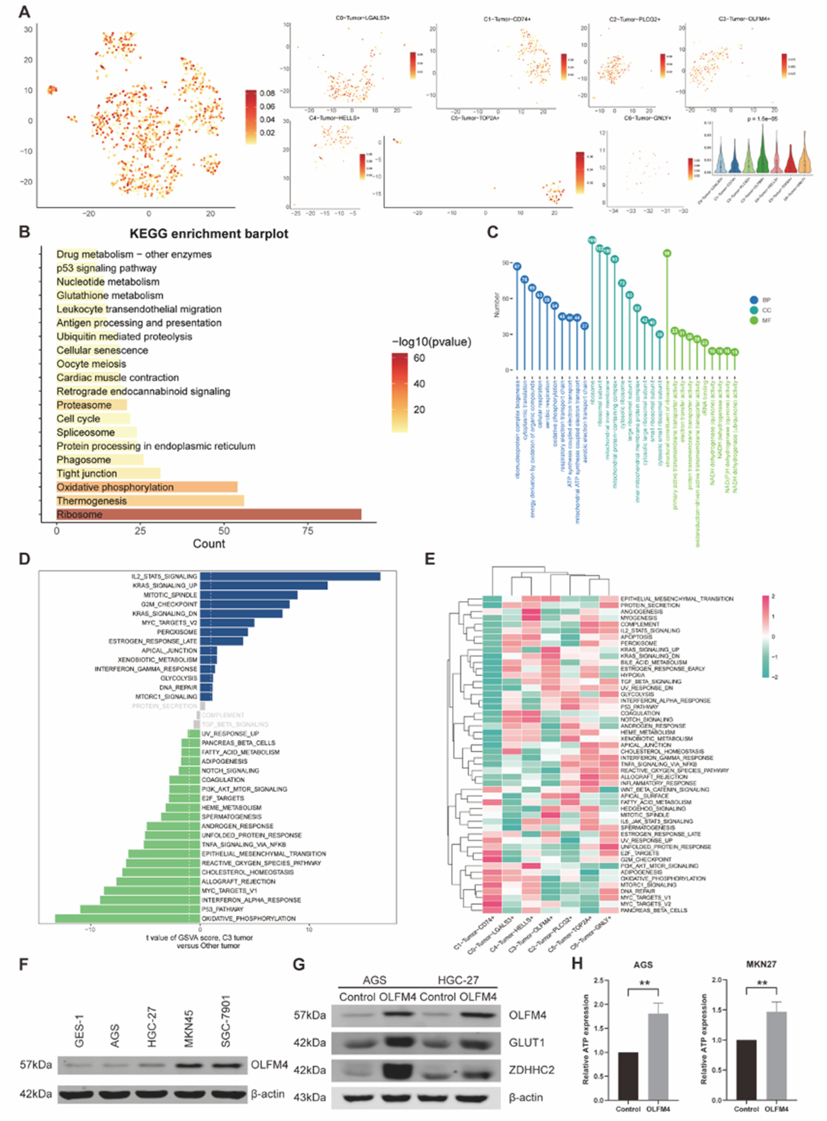 Preprints 188046 g006
