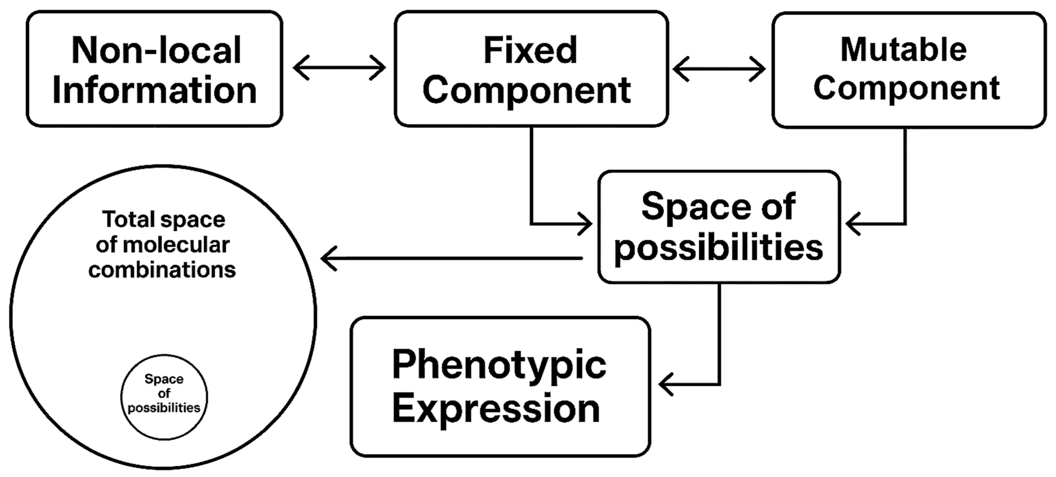 Preprints 171388 g004
