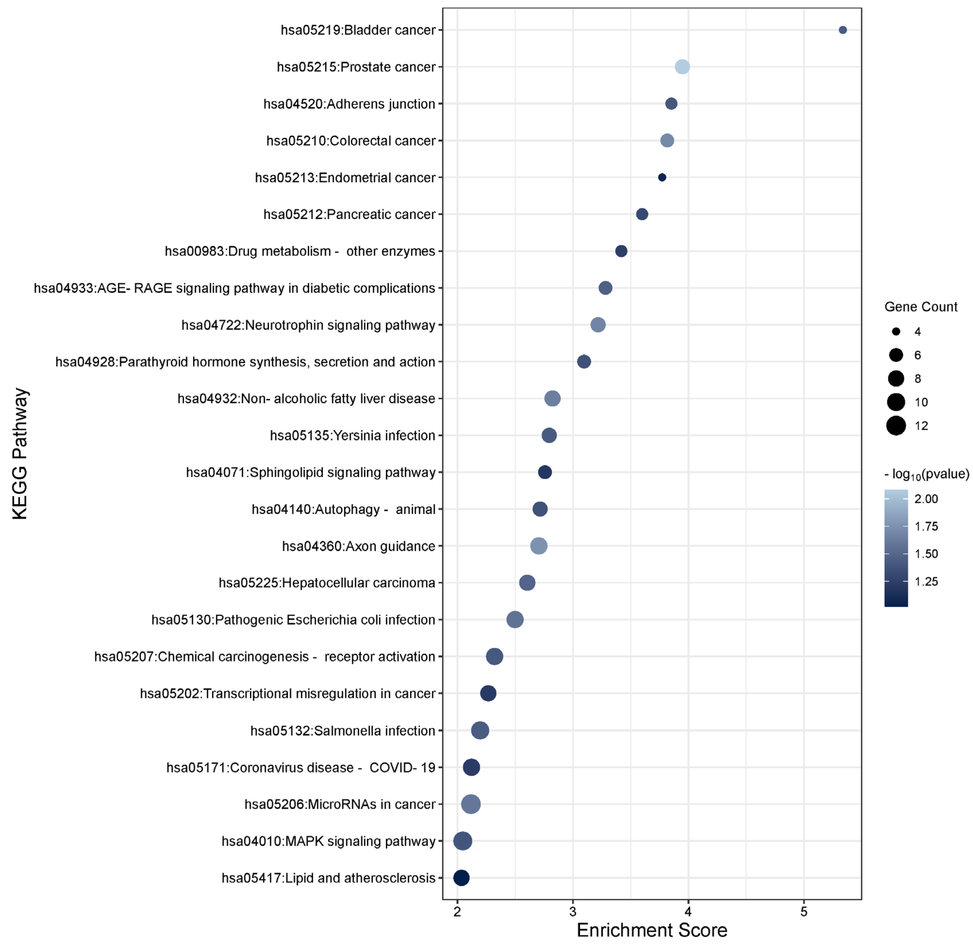 Preprints 105395 g007