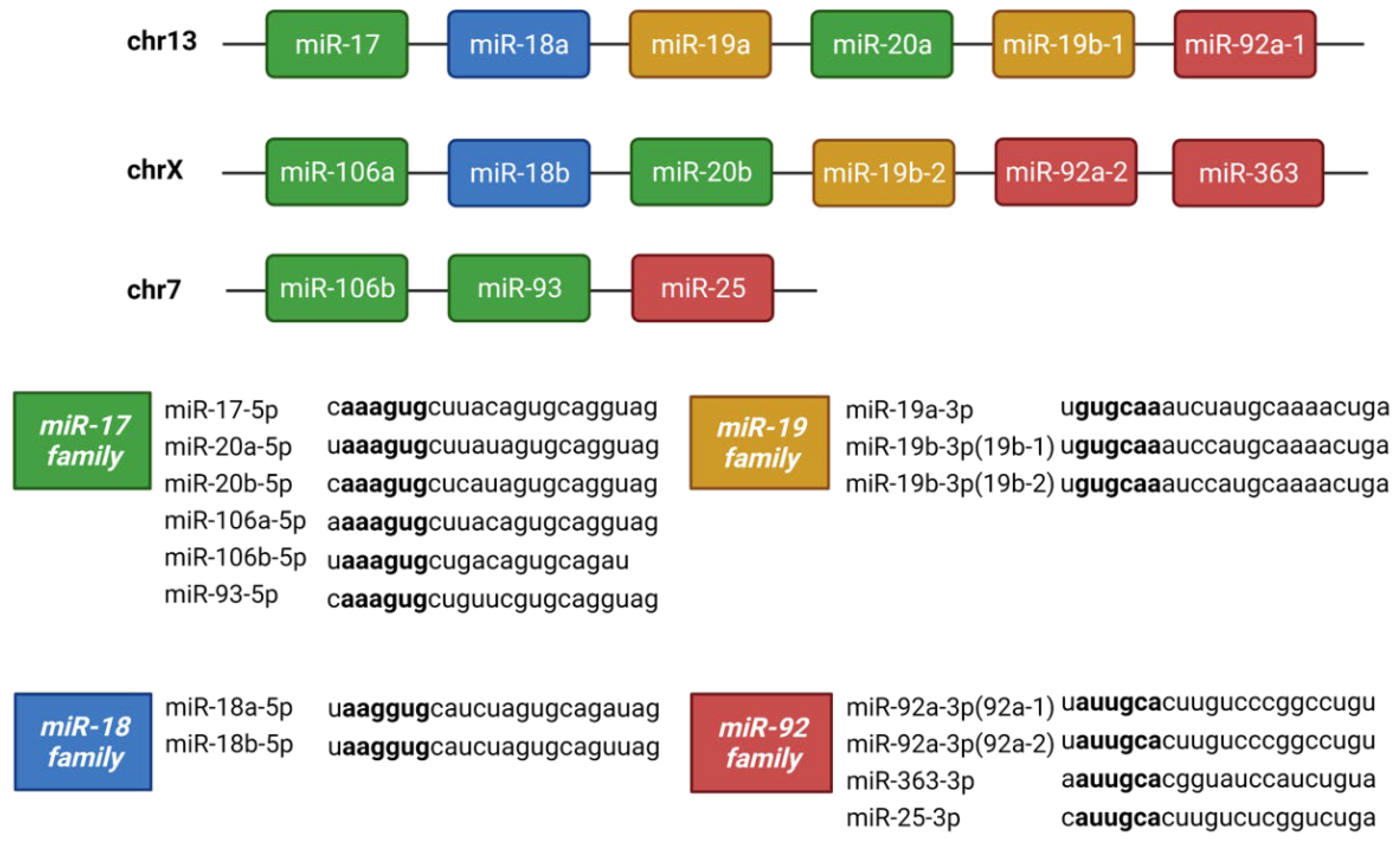 Preprints 105395 g009
