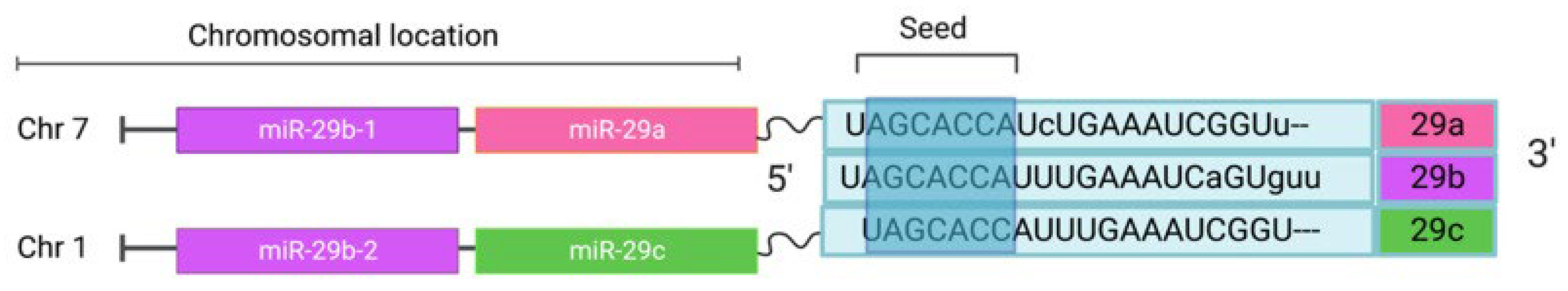 Preprints 105395 g012
