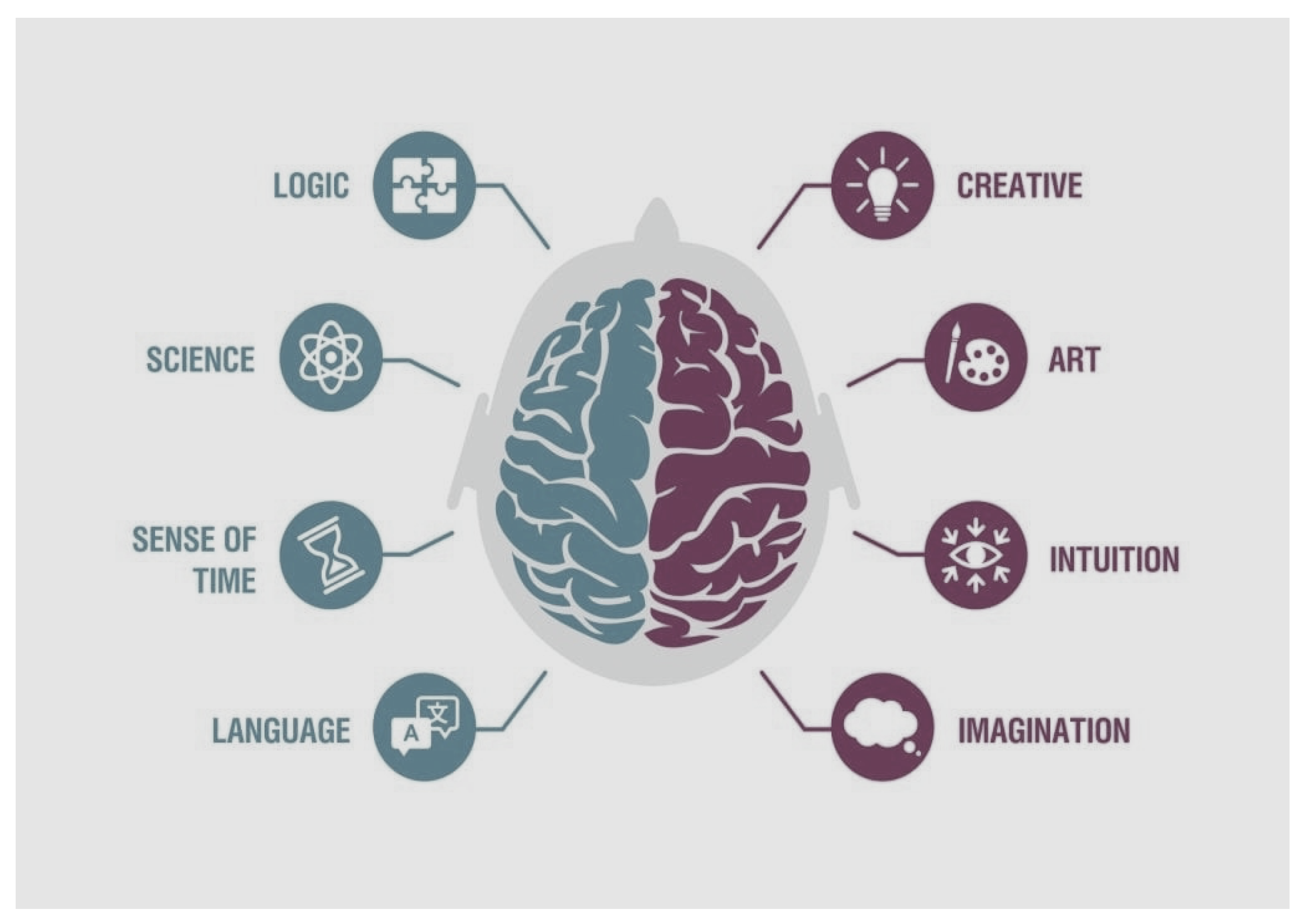 Preprints 154368 g003