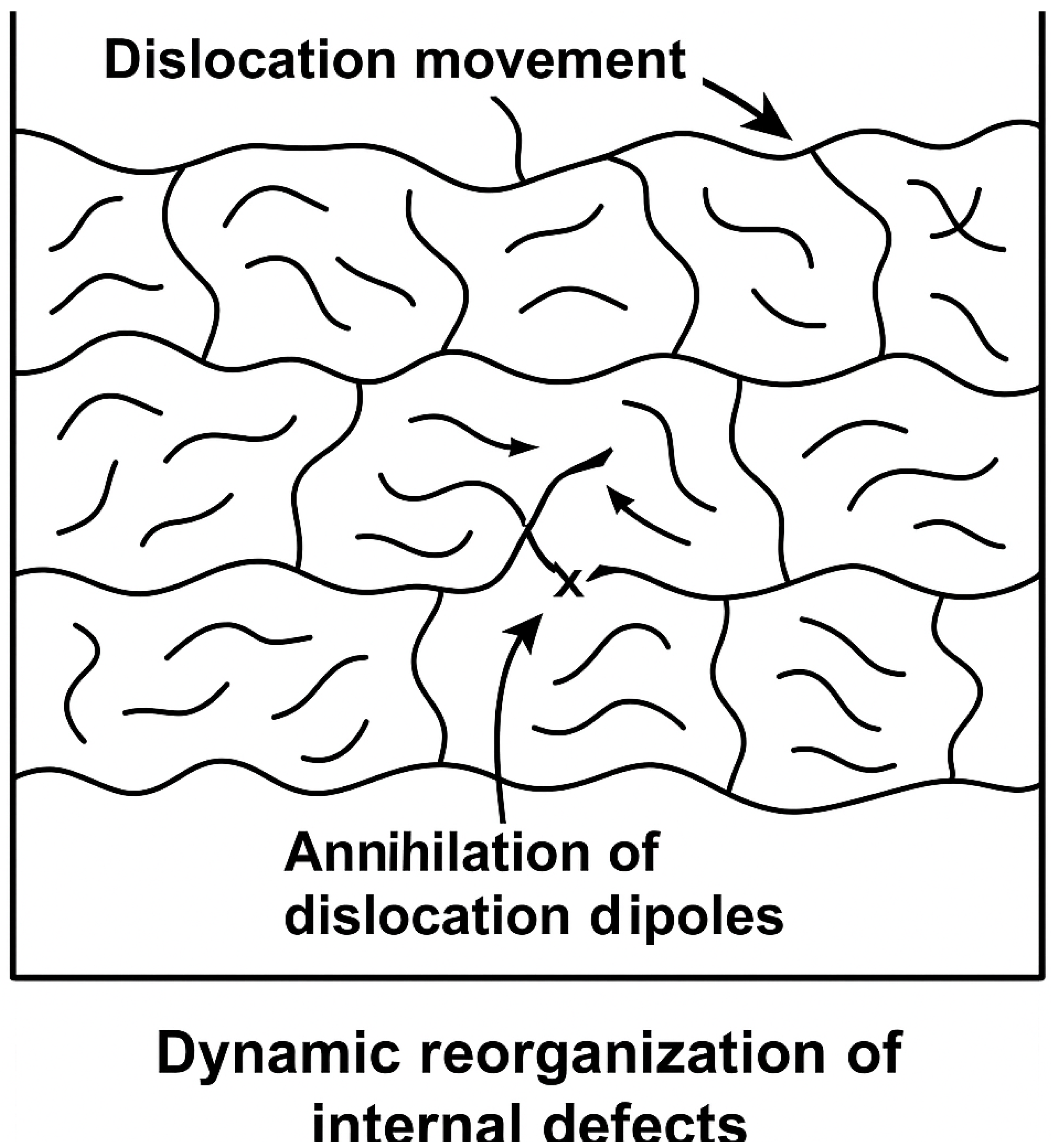 Preprints 165081 g017