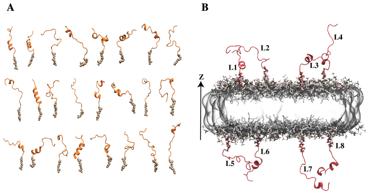 Preprints 228932 g005