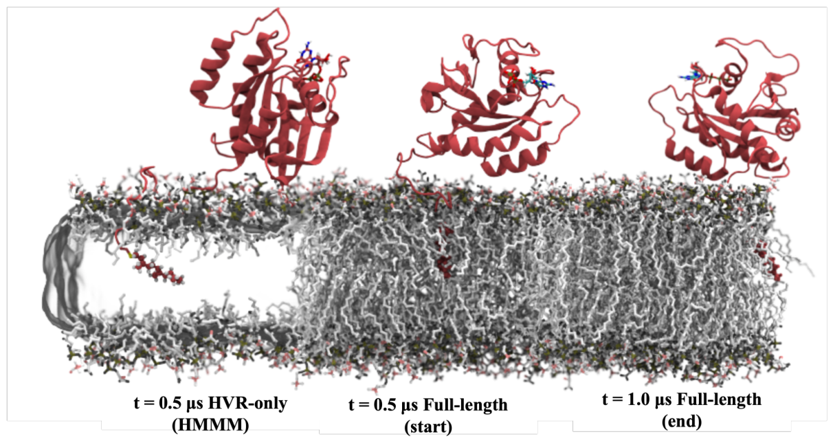 Preprints 228932 g010