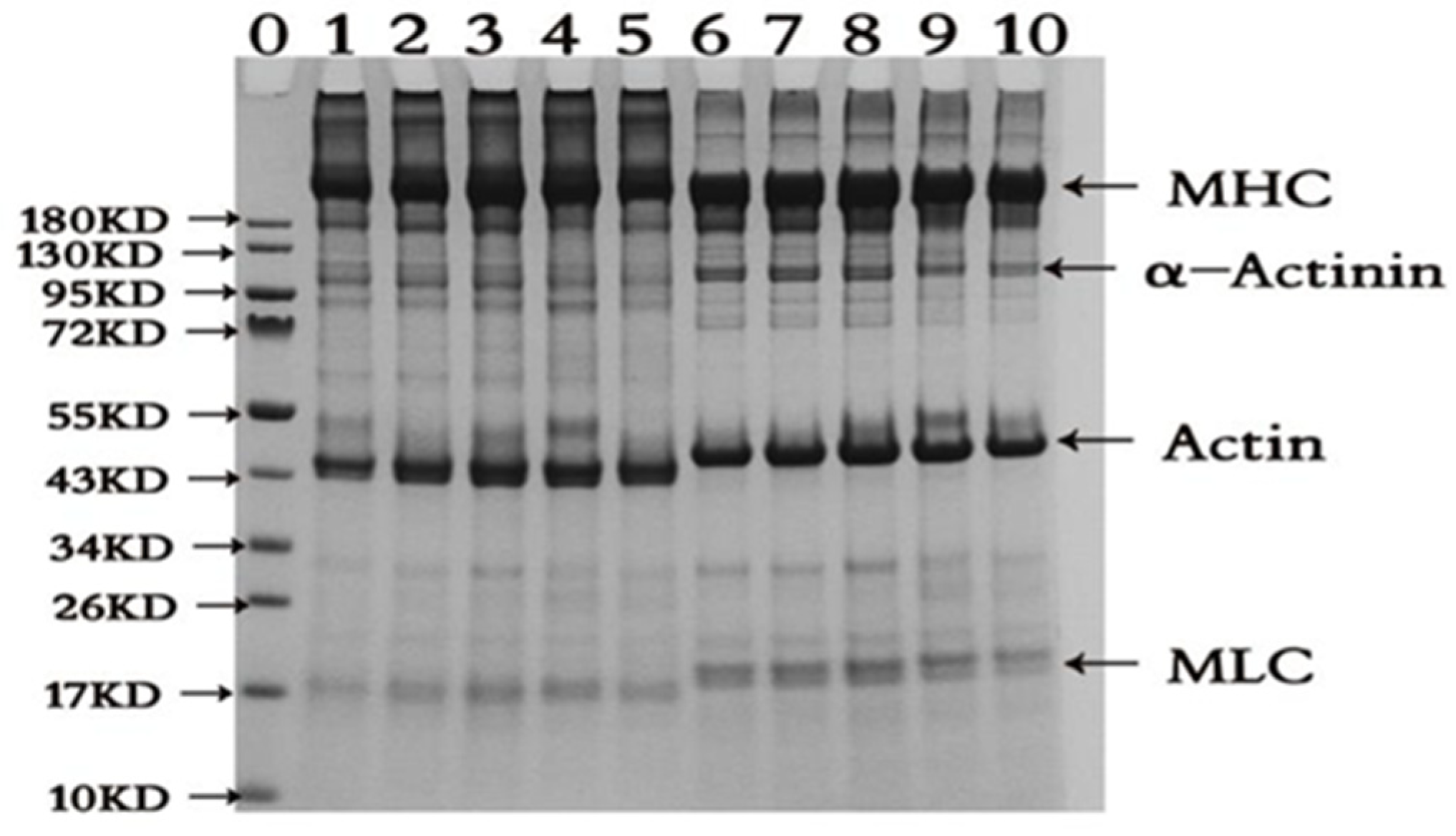 Preprints 82743 g002
