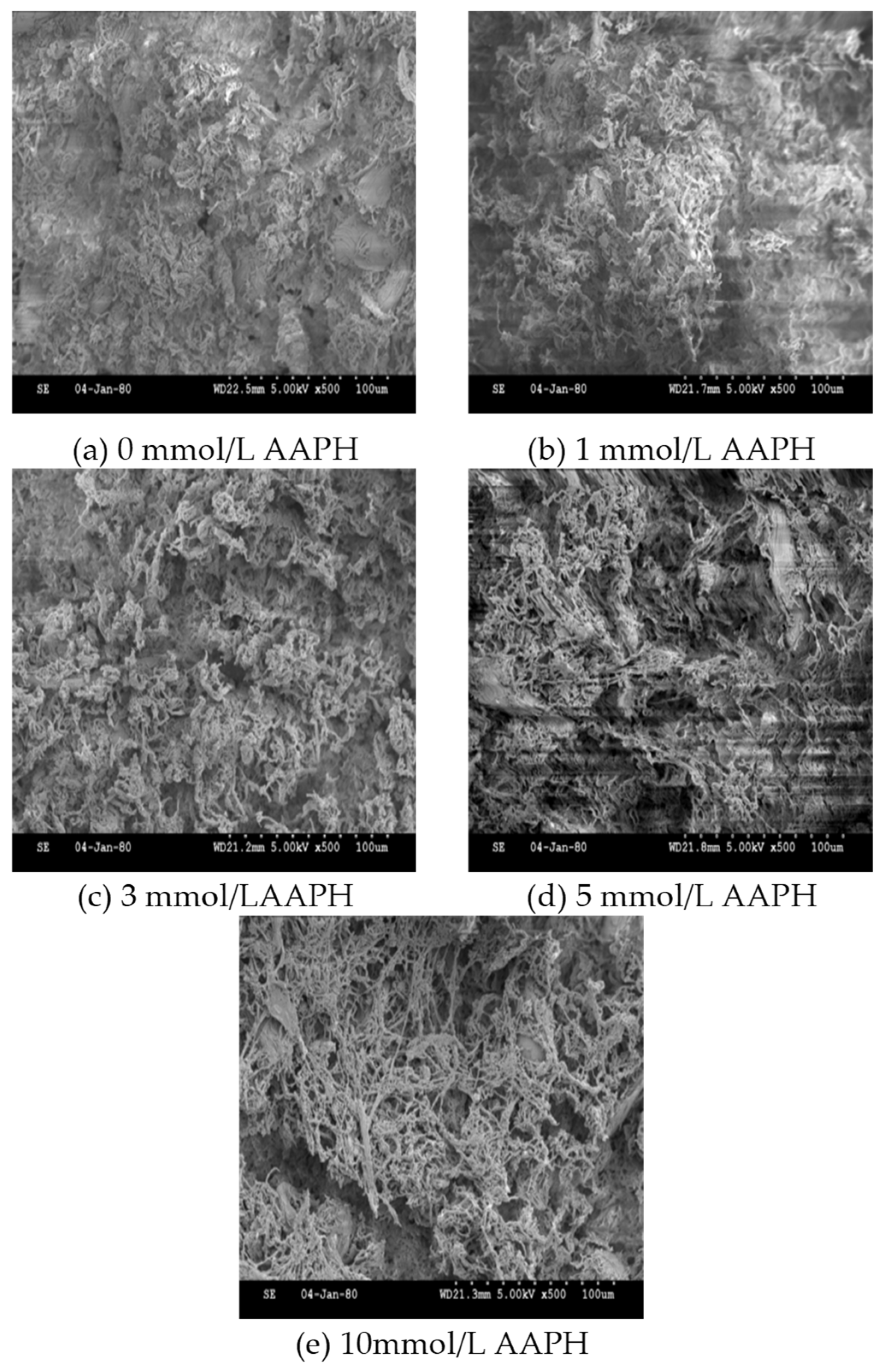 Preprints 82743 g007