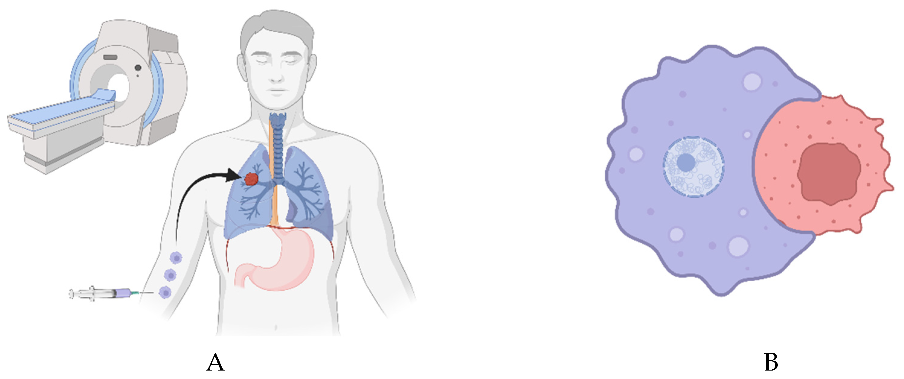 Preprints 95077 g001a