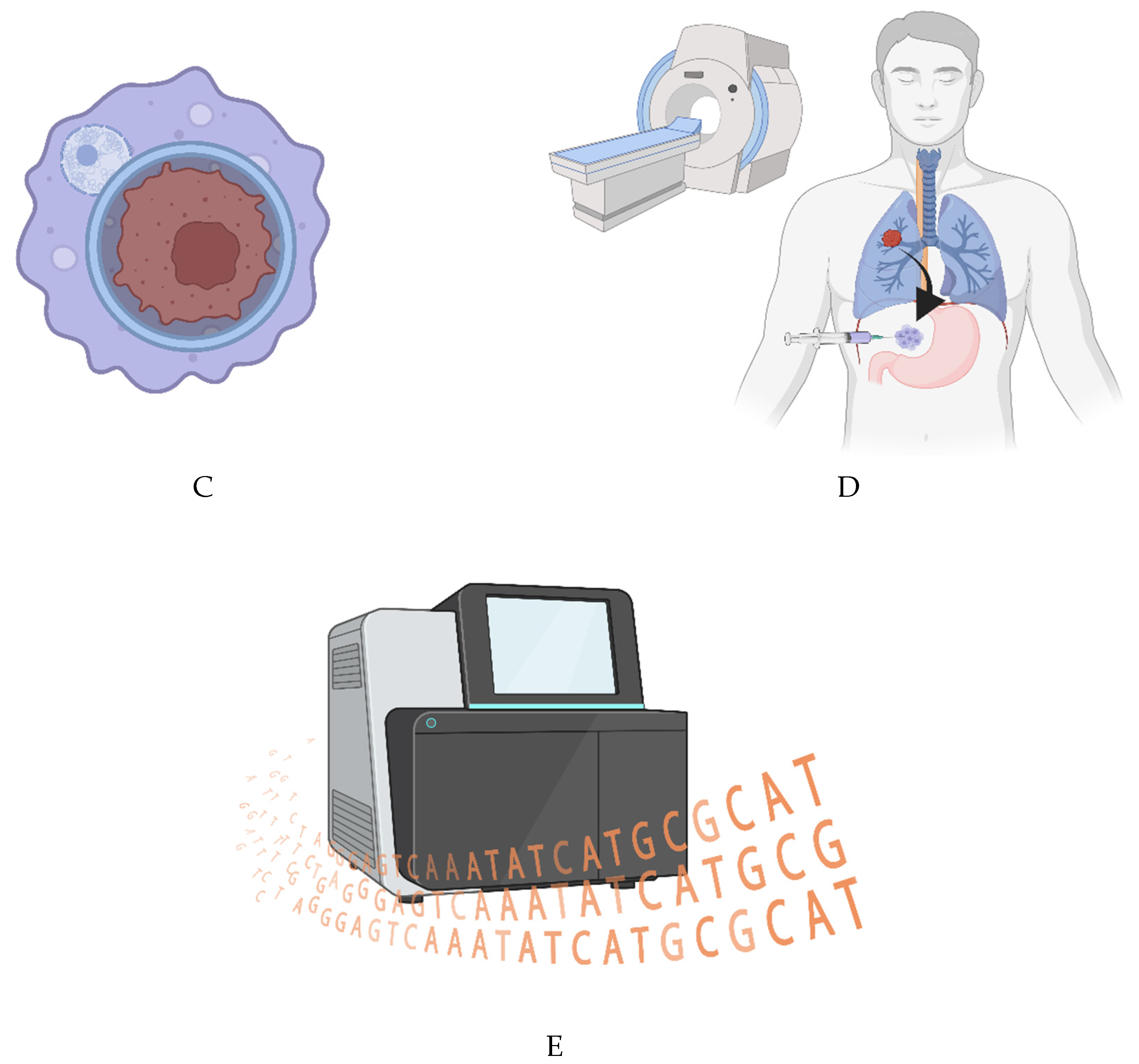 Preprints 95077 g001b