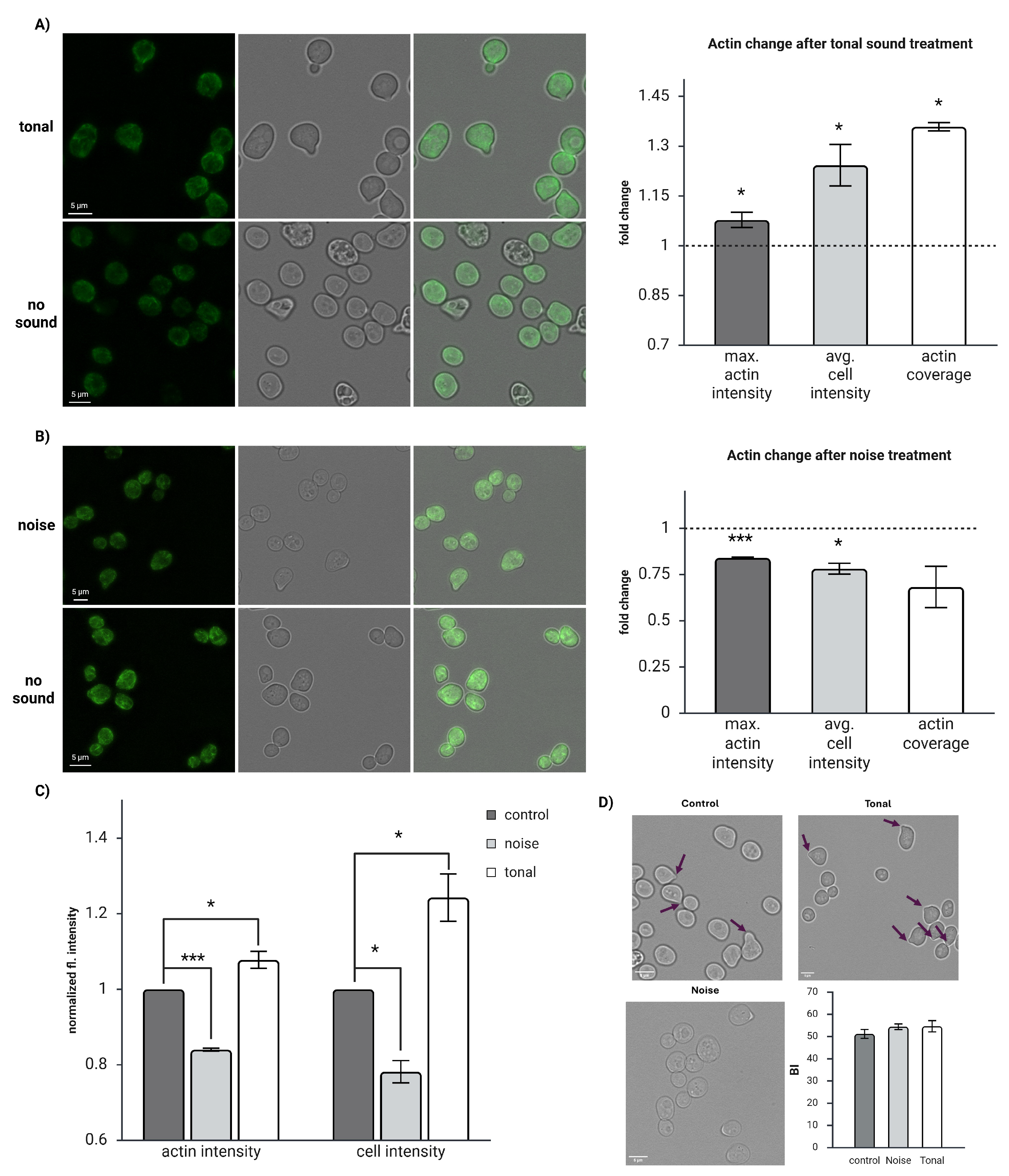 Preprints 211060 g002 Preprints 211060 g002