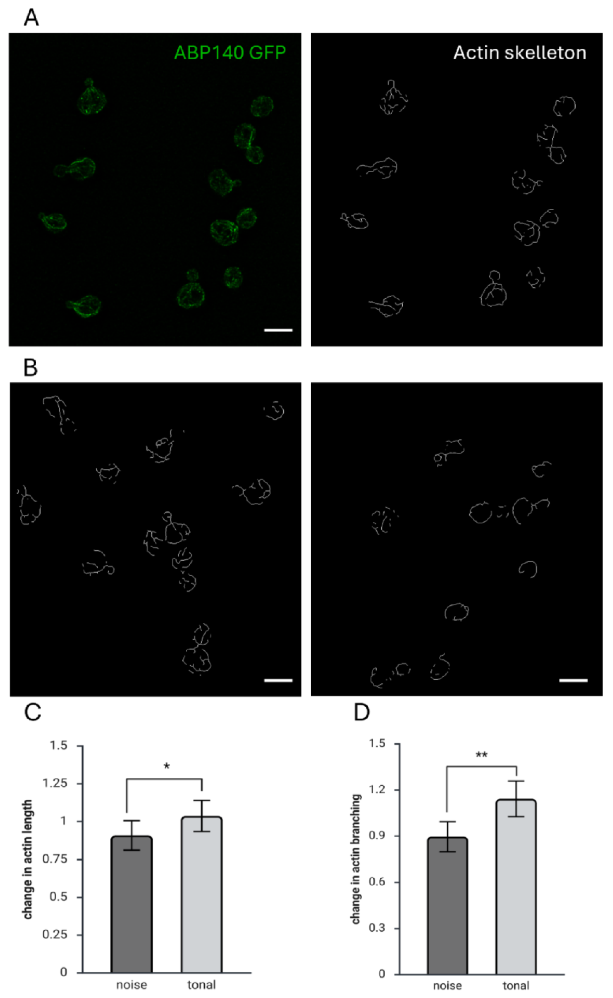 Preprints 211060 g003 Preprints 211060 g003