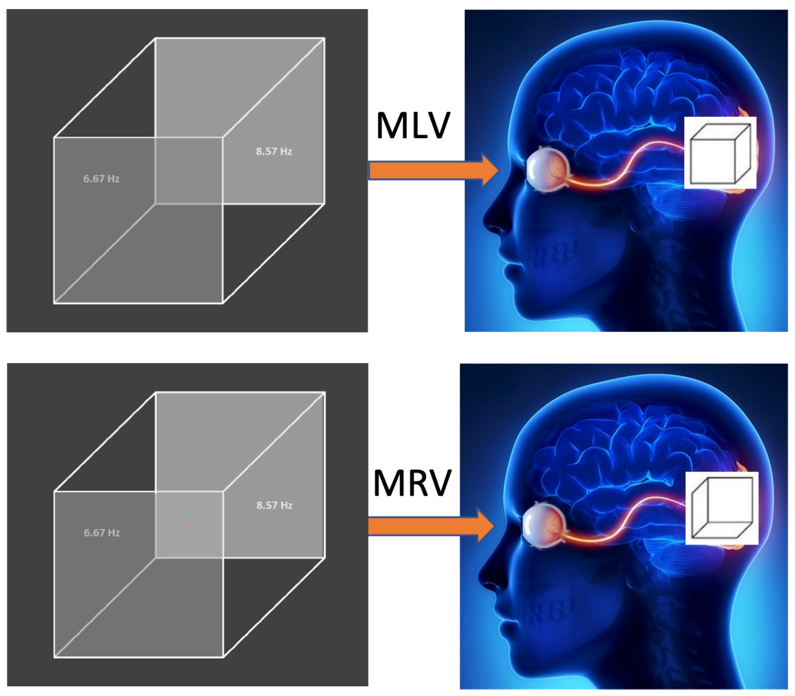 Preprints 150466 g001