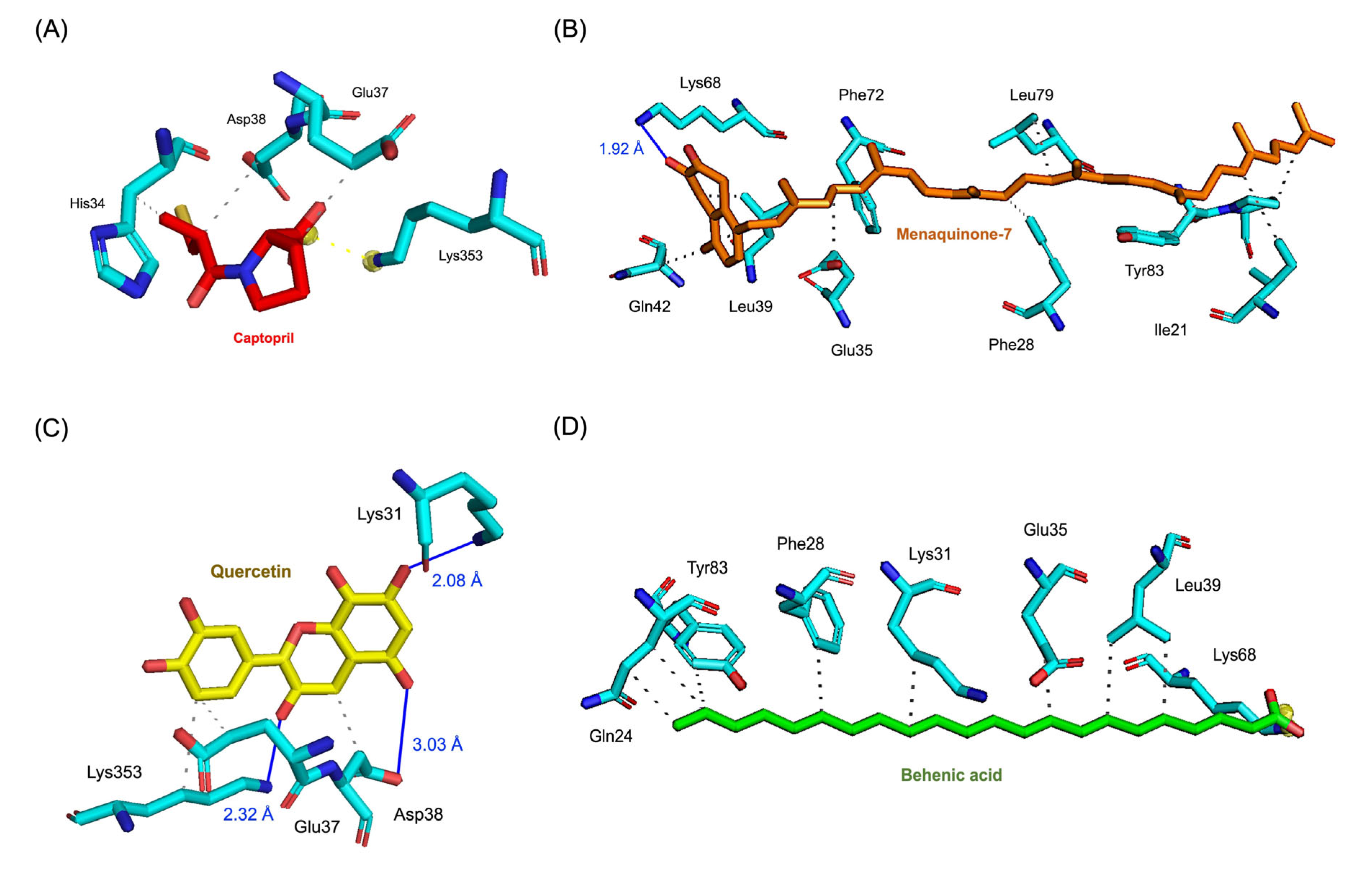 Preprints 147147 g002