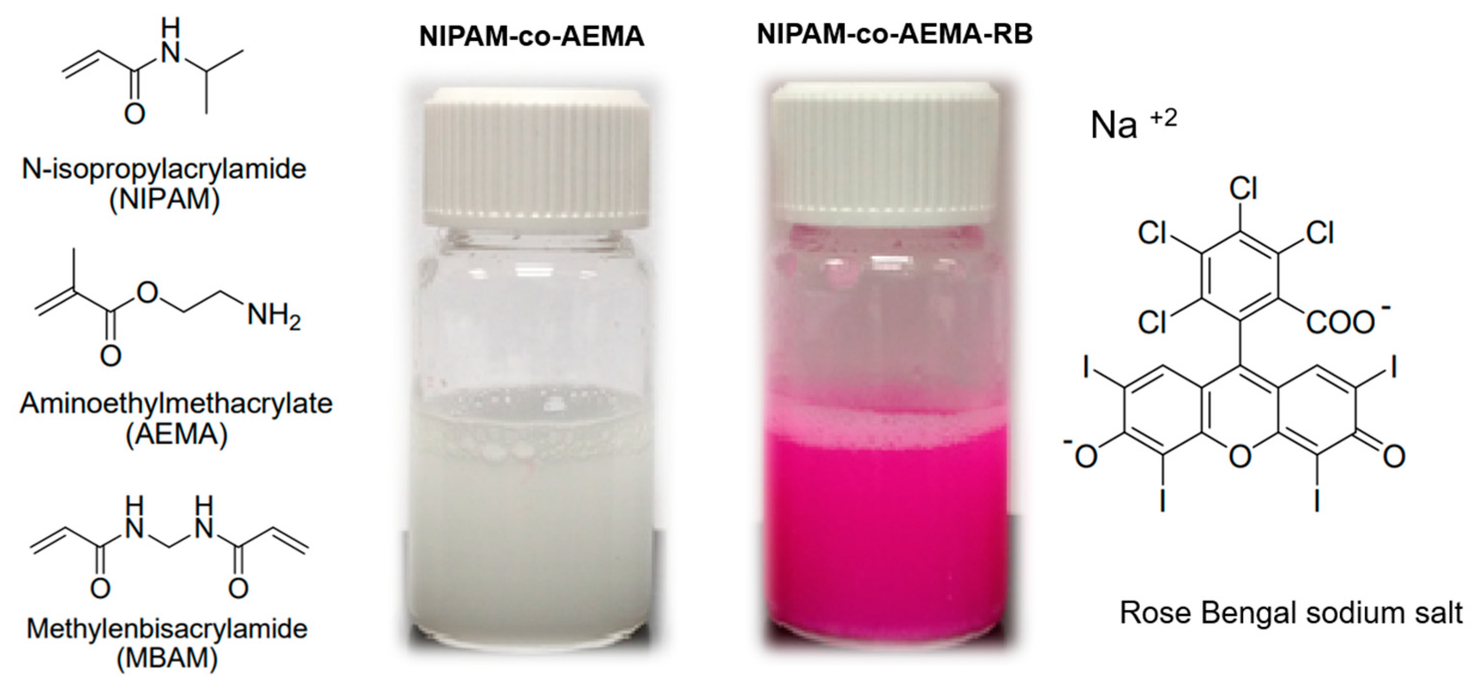 Preprints 147732 g001