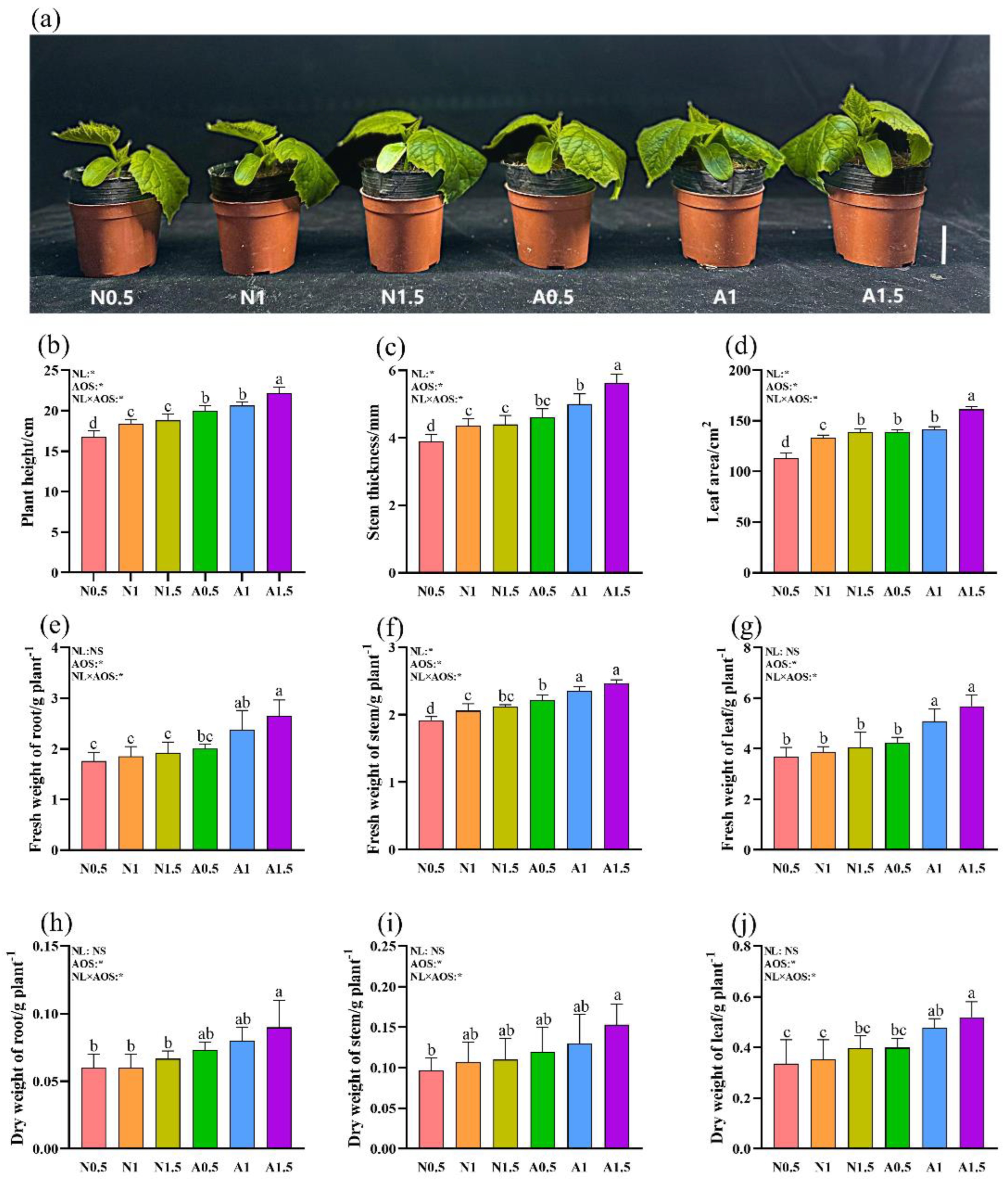 Preprints 155357 g001