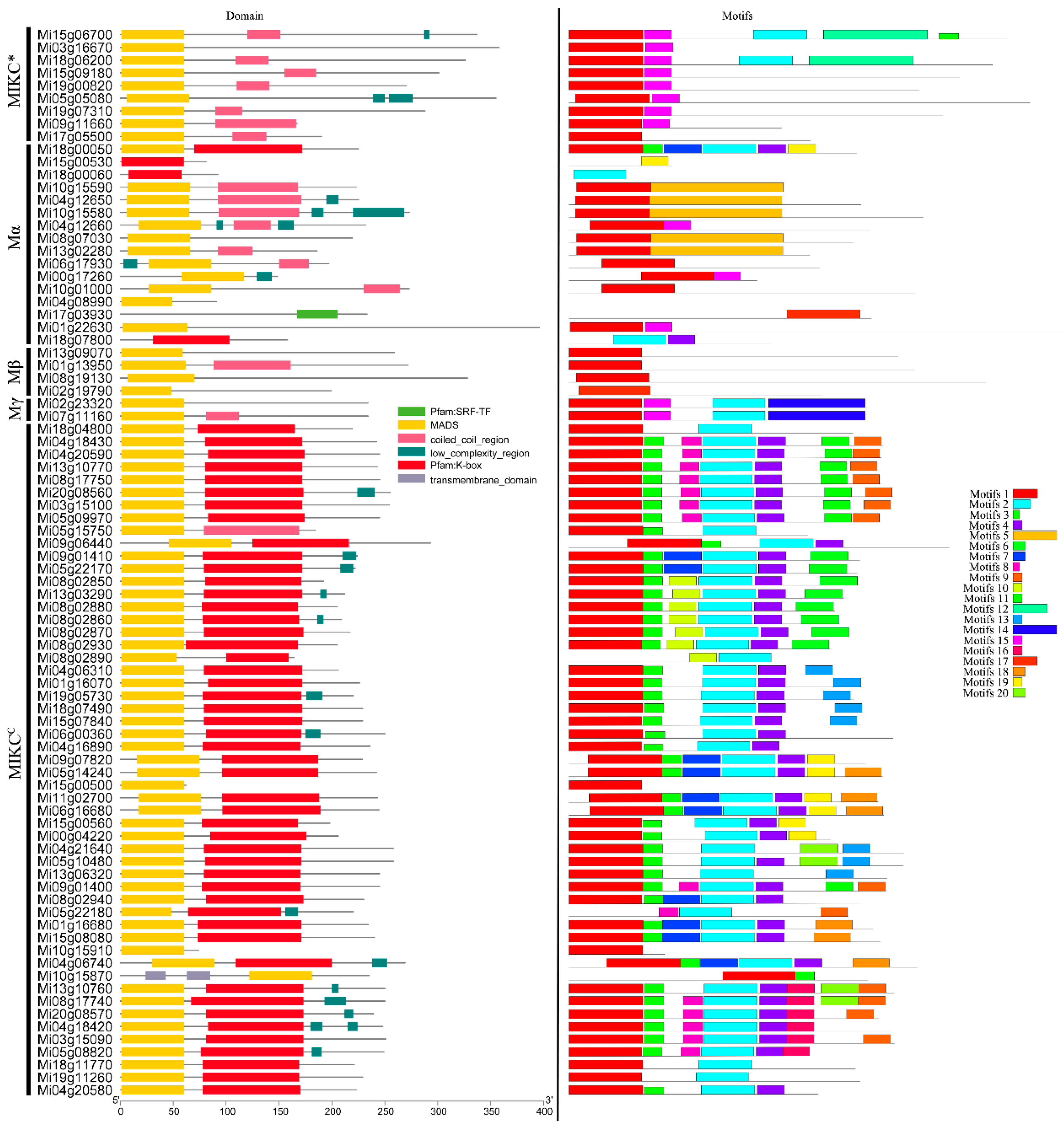 Preprints 89260 g001