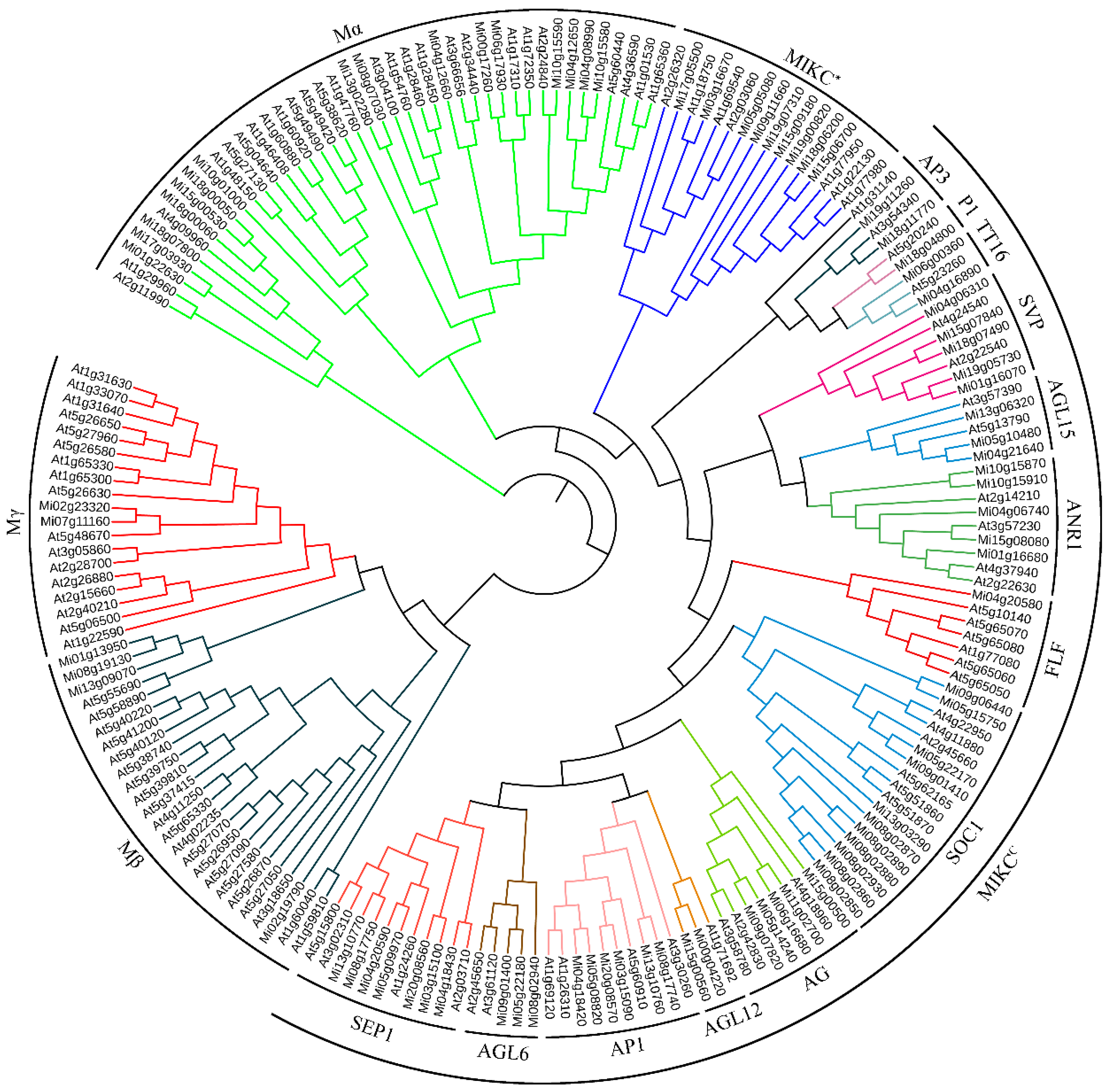 Preprints 89260 g002