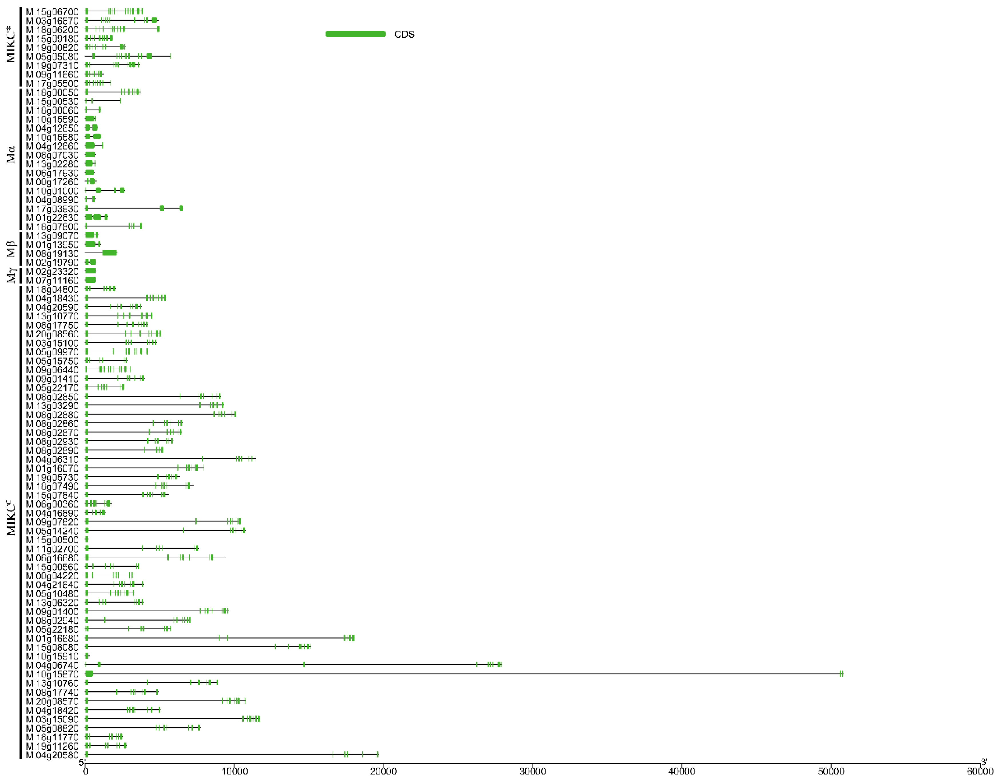 Preprints 89260 g003