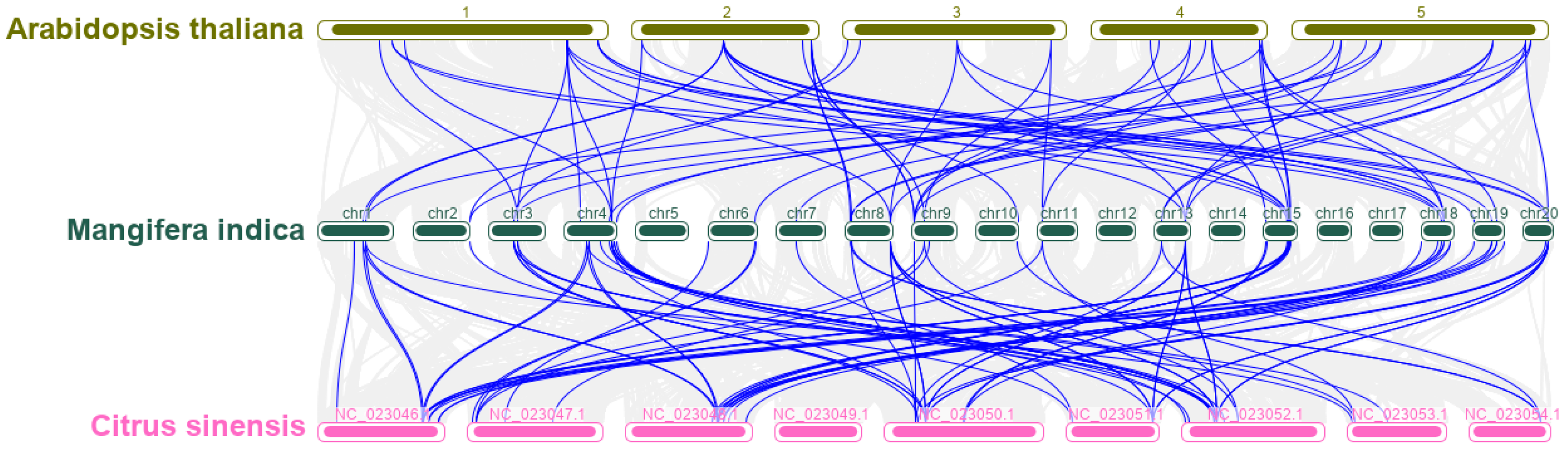 Preprints 89260 g005