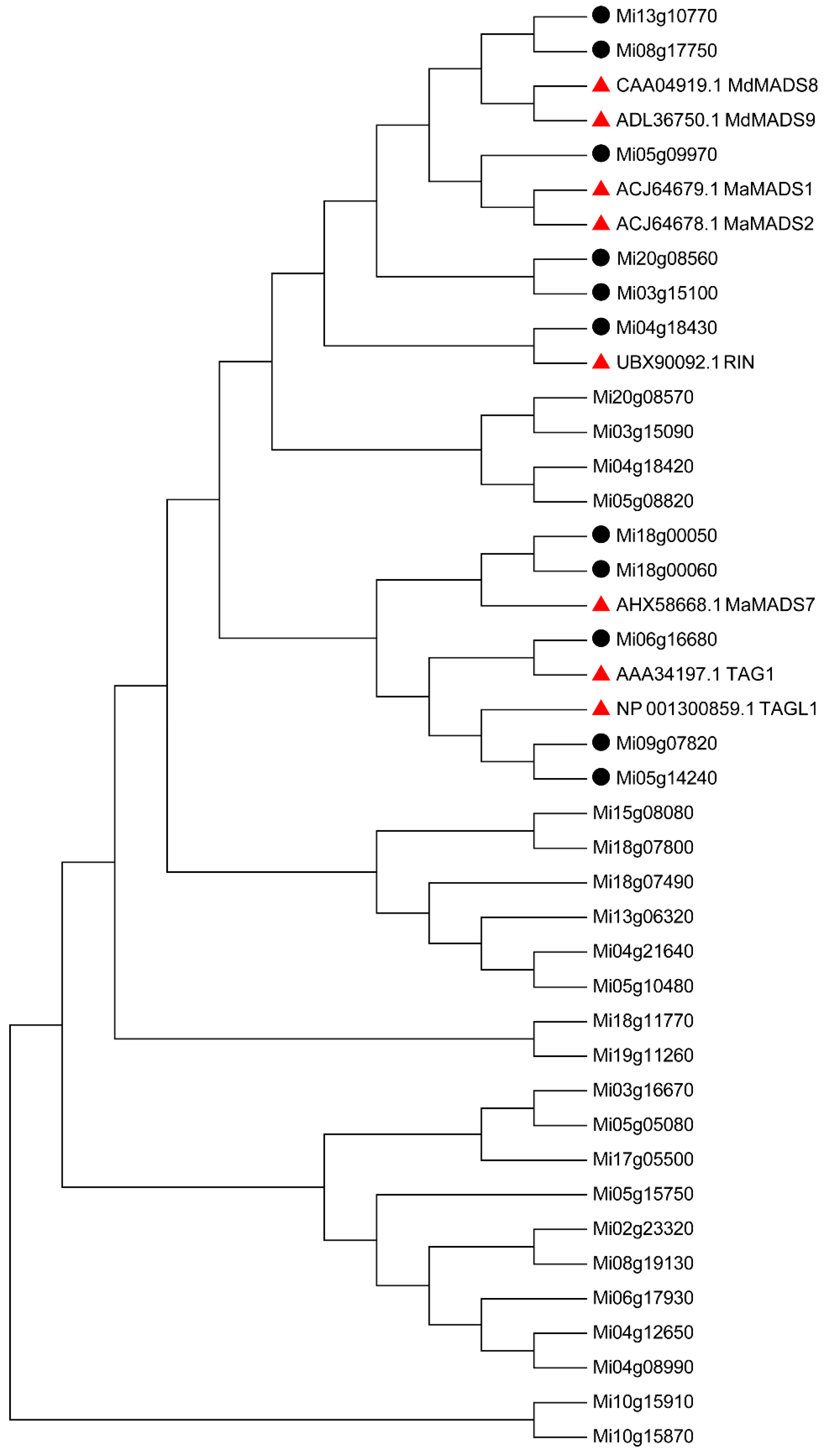 Preprints 89260 g008