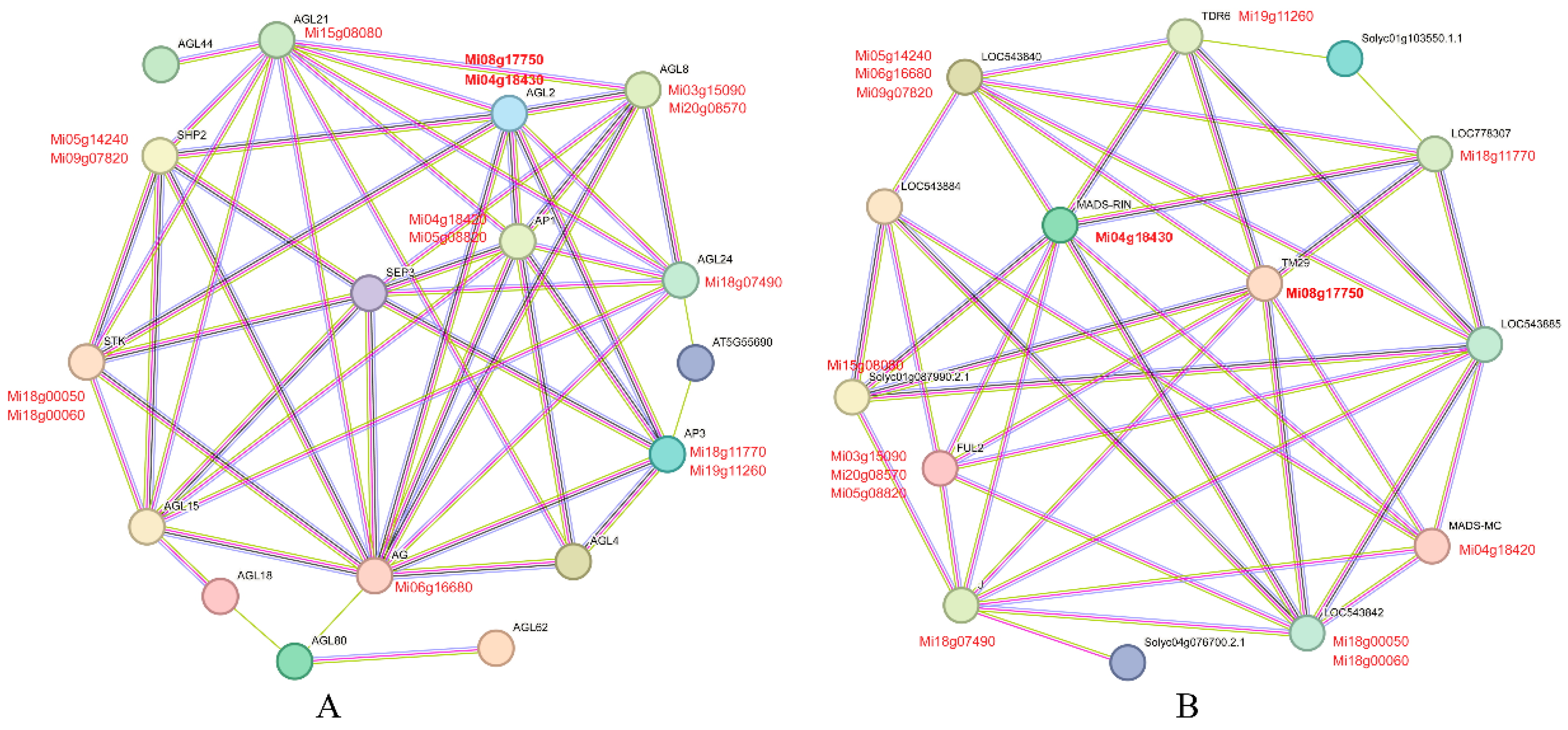 Preprints 89260 g010