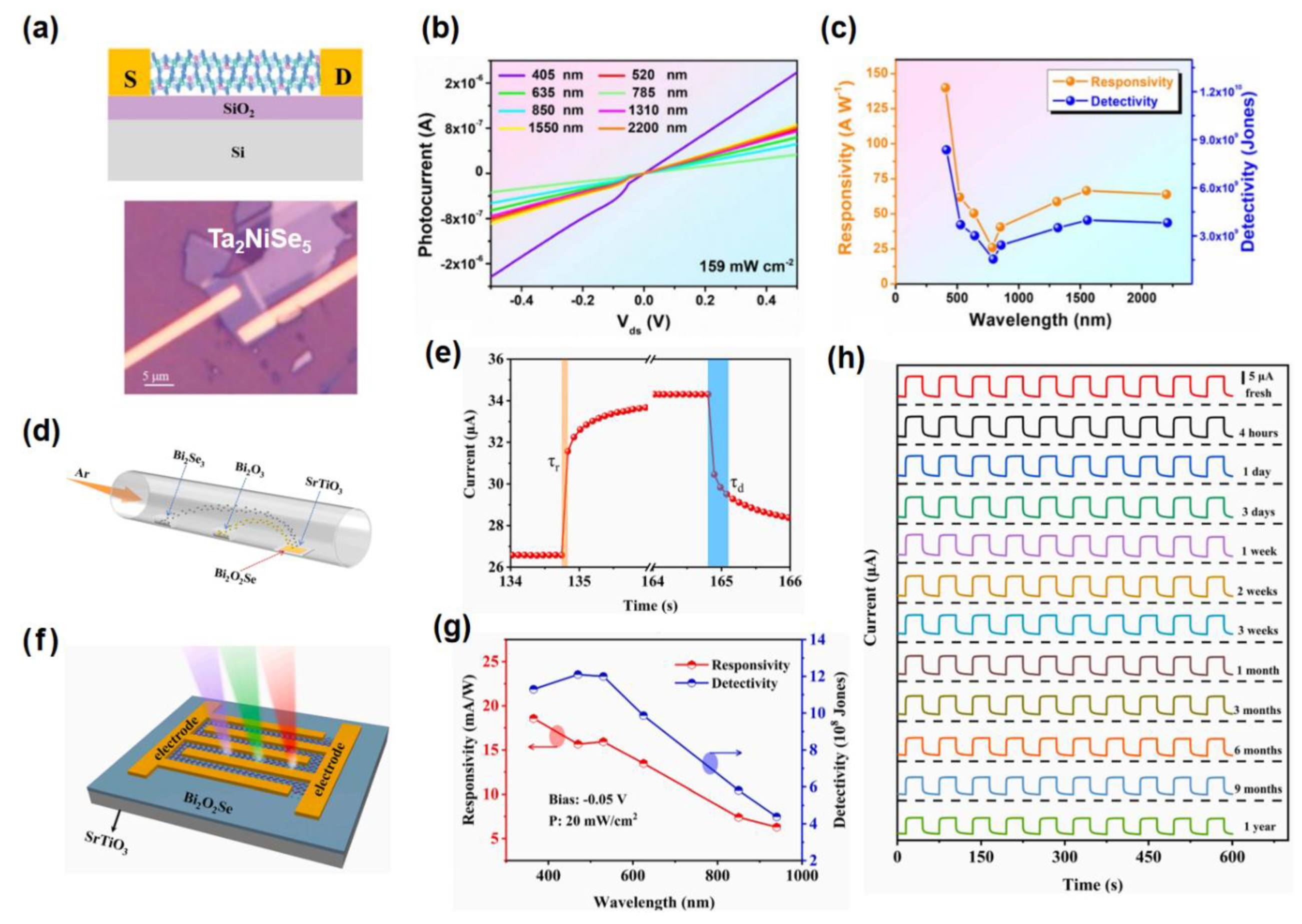 Preprints 149174 g001