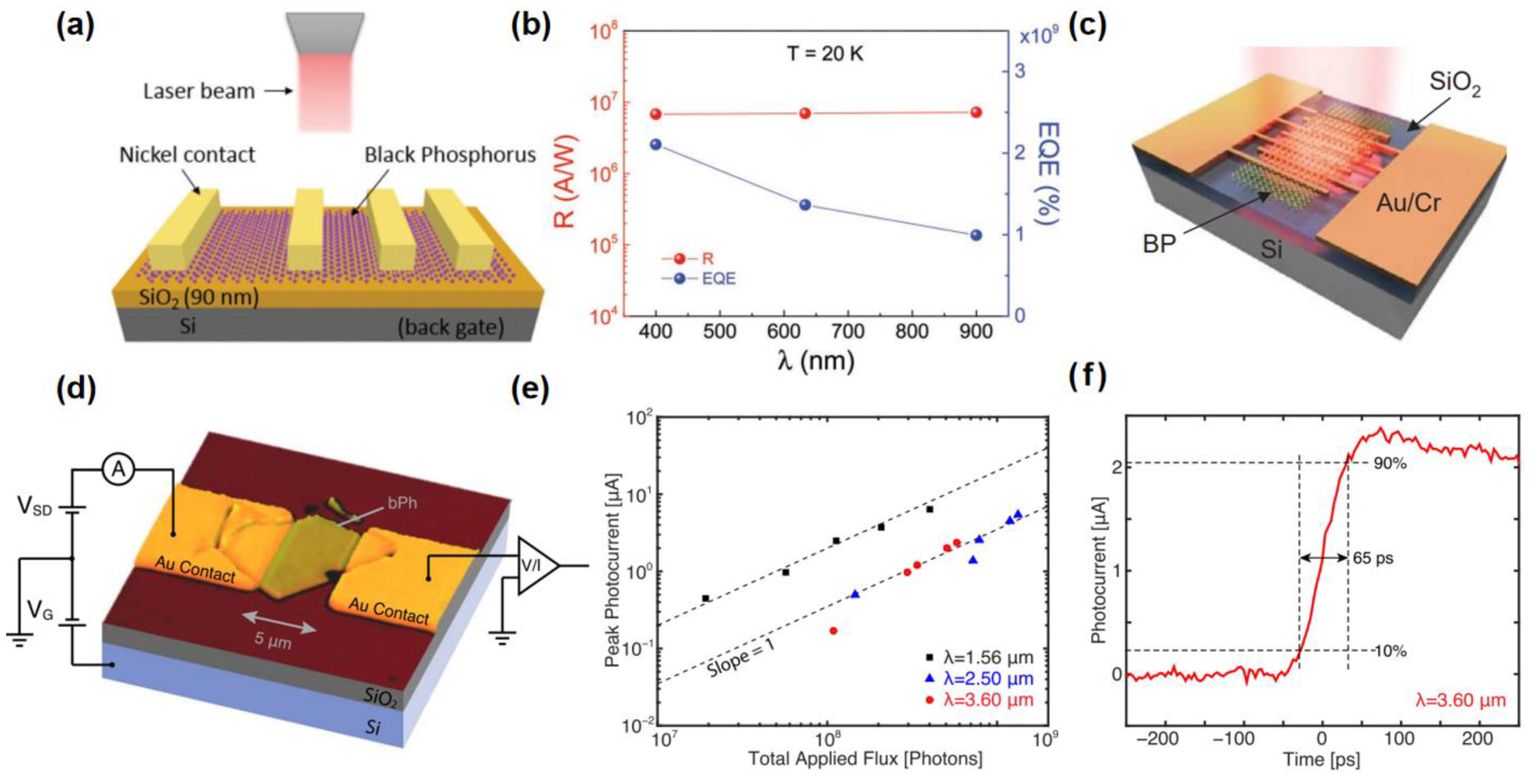 Preprints 149174 g005
