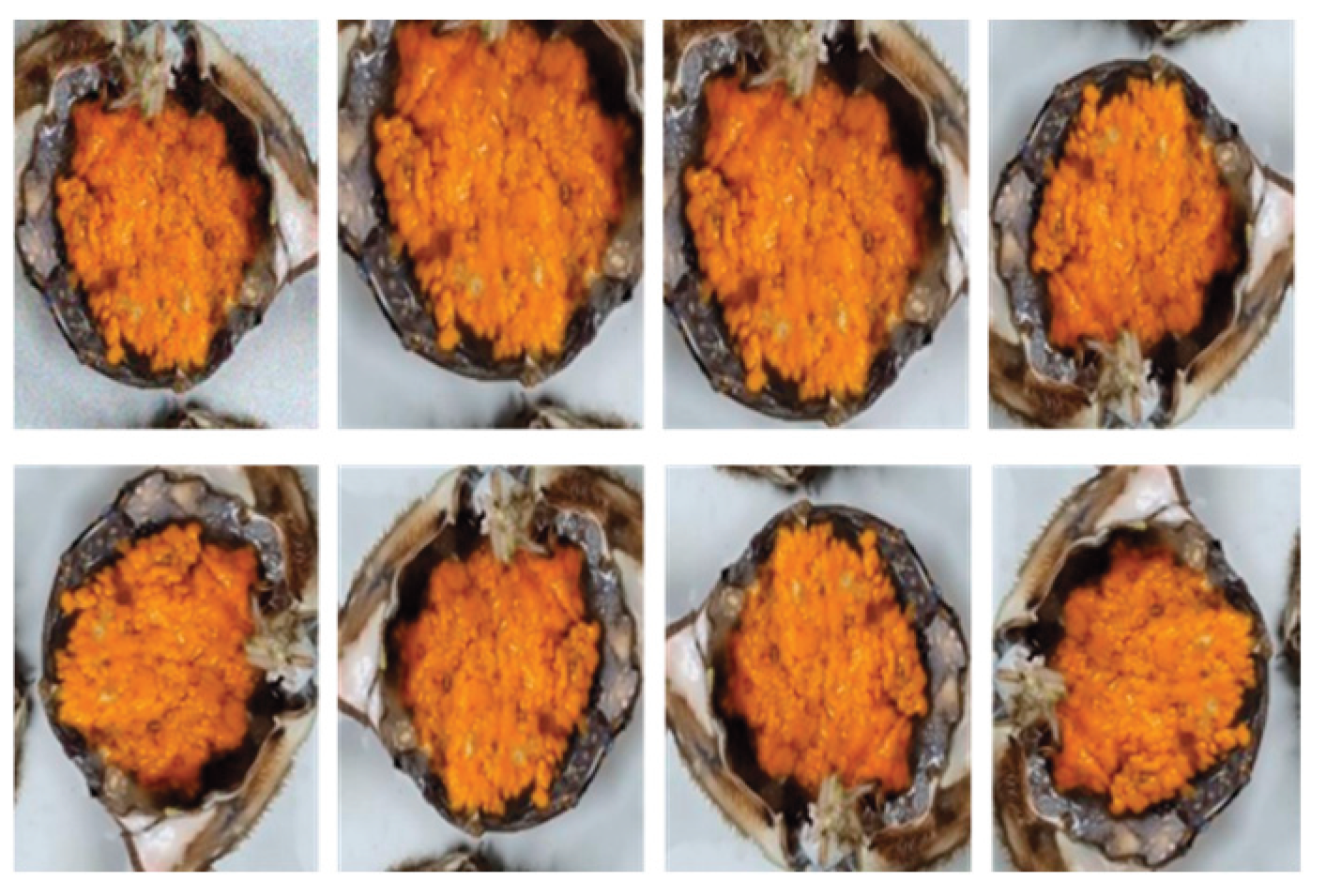 Preprints 194077 g001