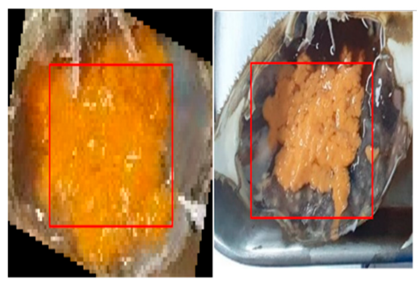 Preprints 194077 g003