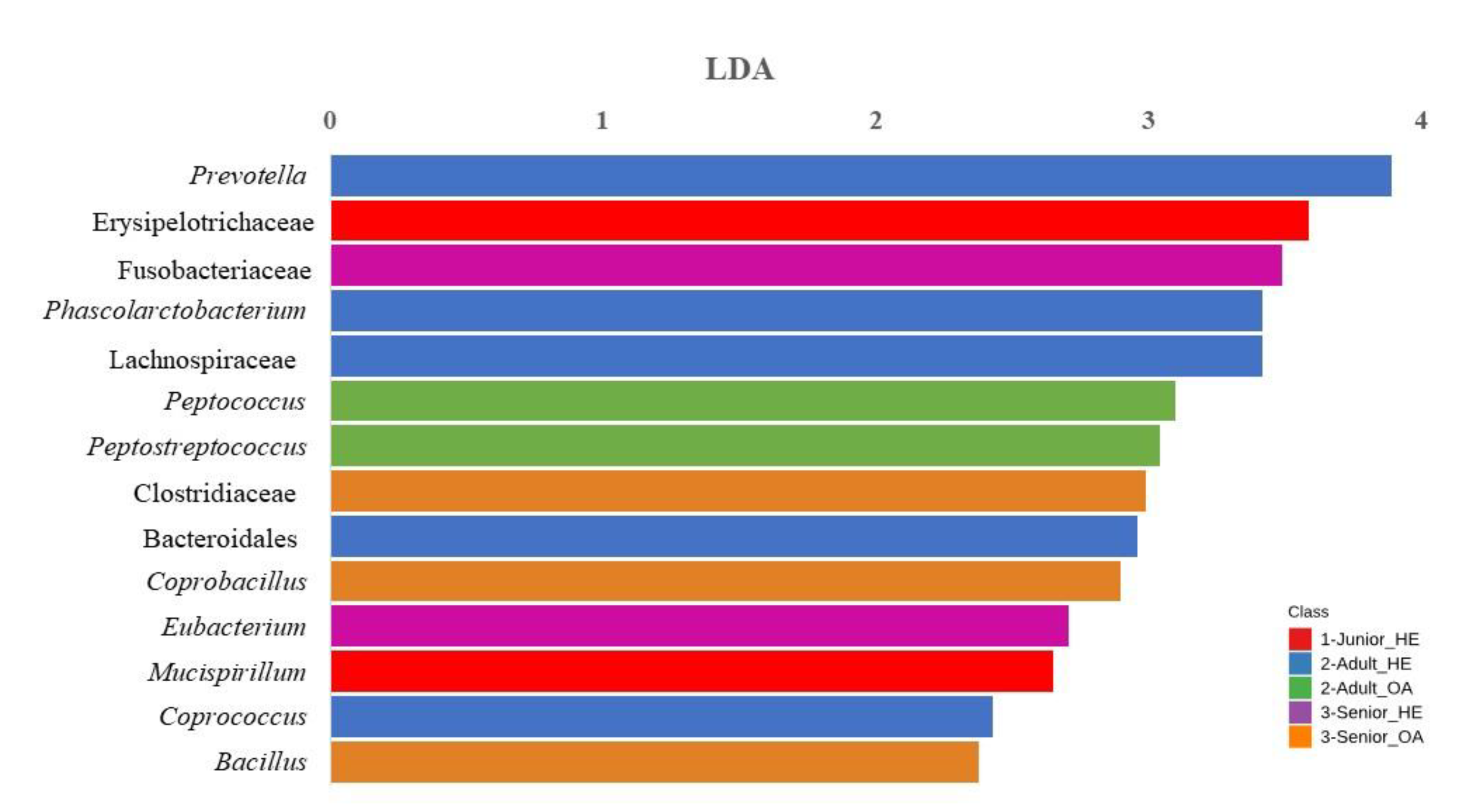 Preprints 156158 g006