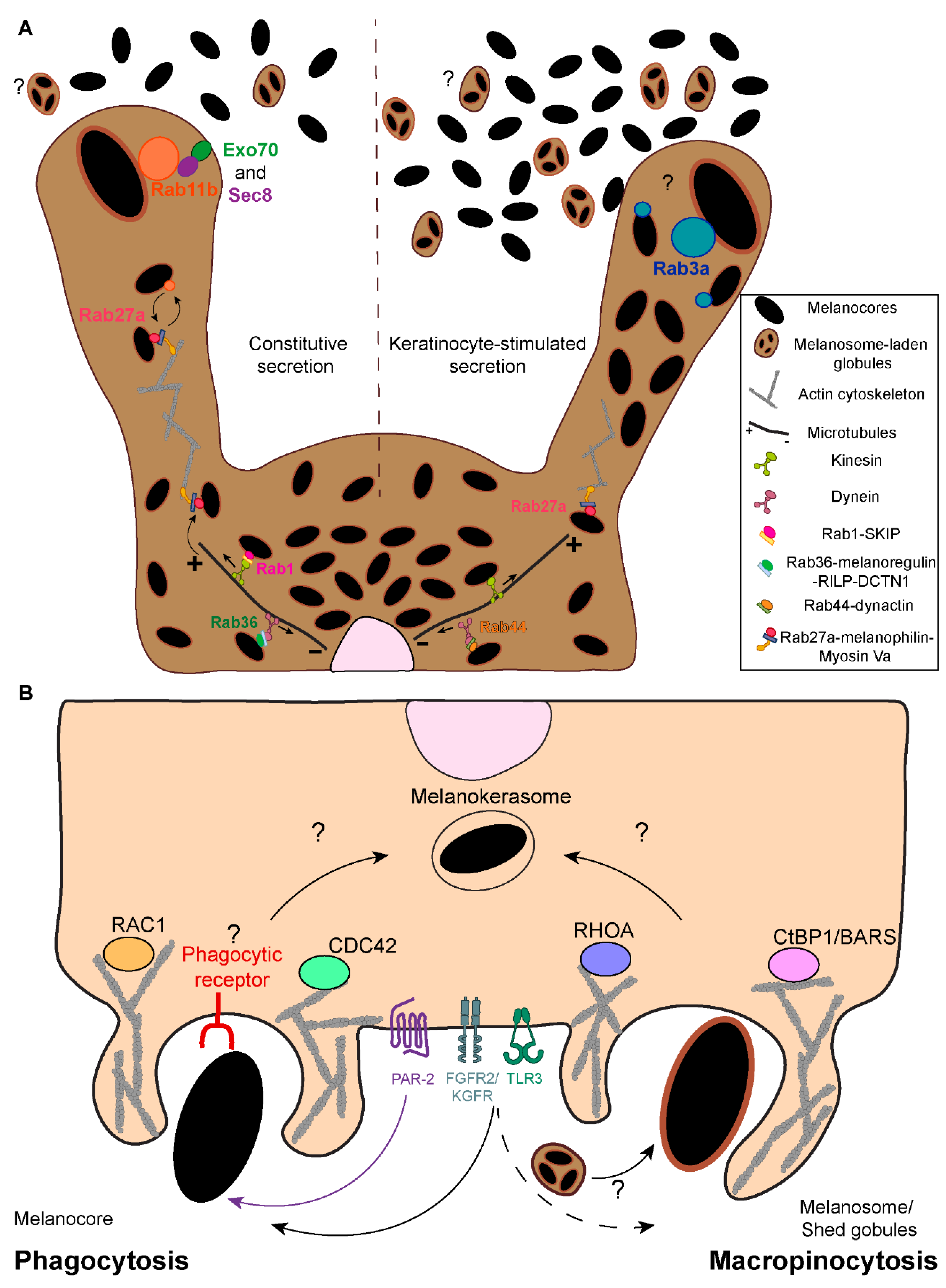 Preprints 74314 g003