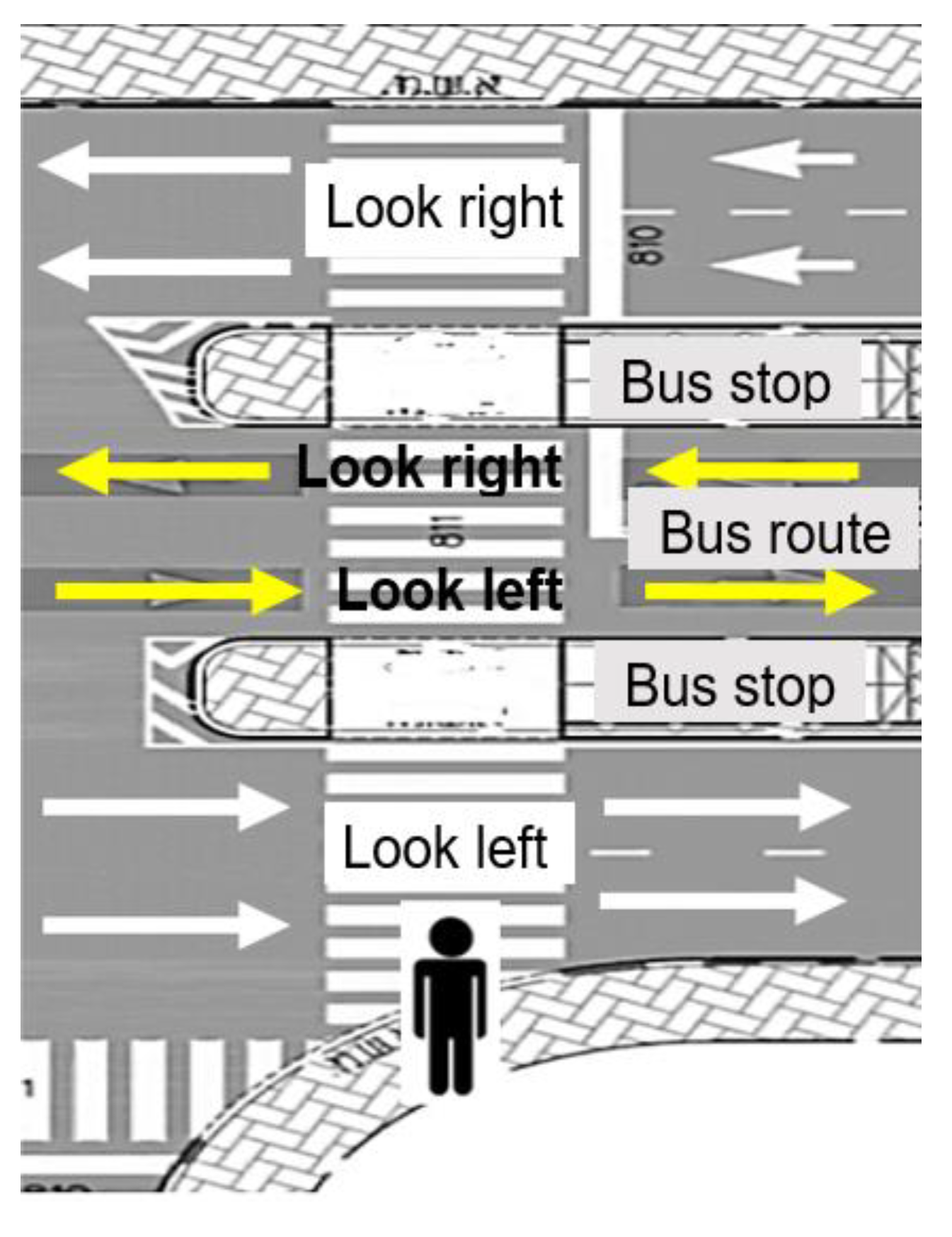 Preprints 144021 g002