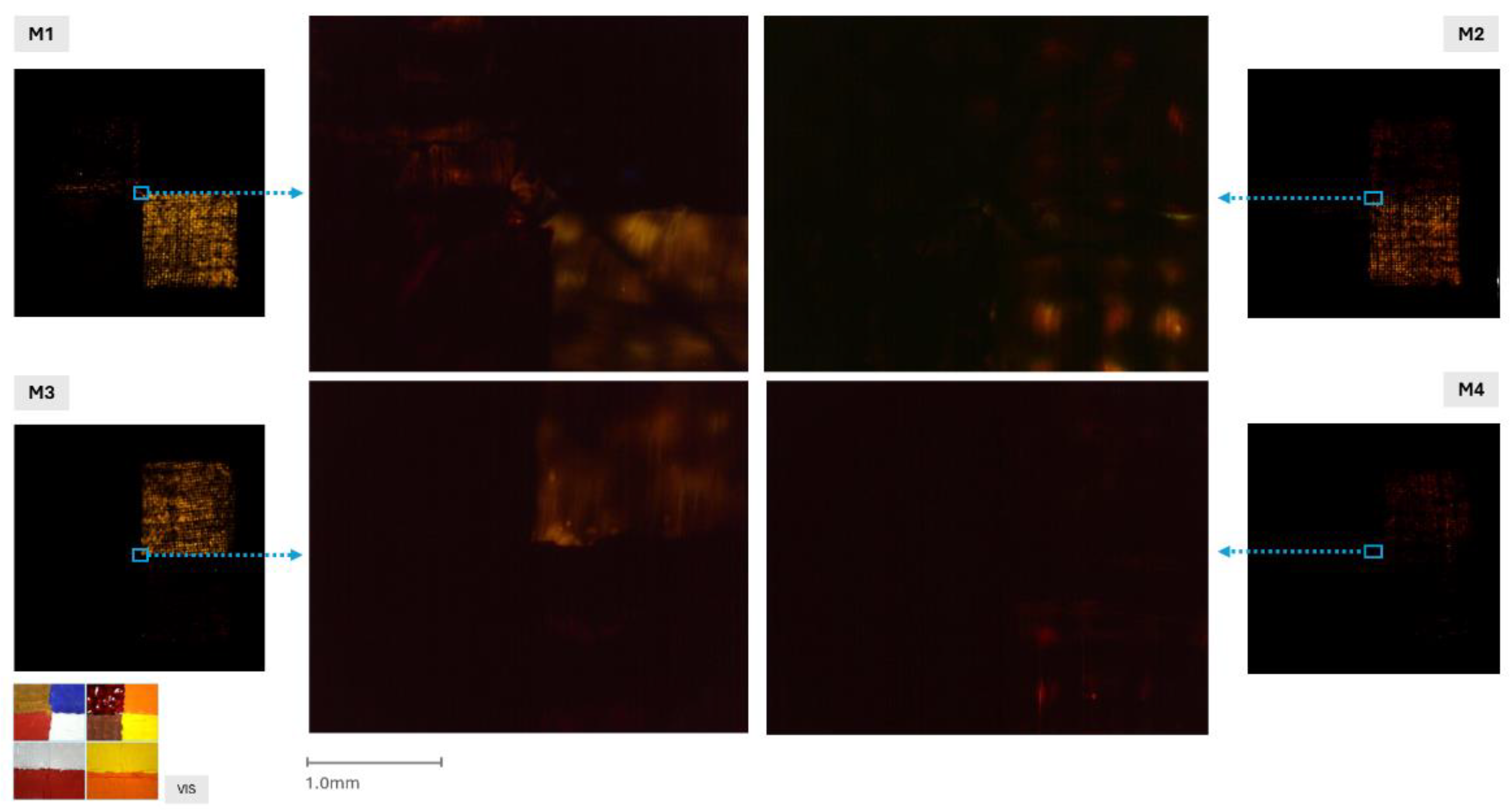 Preprints 183996 g006