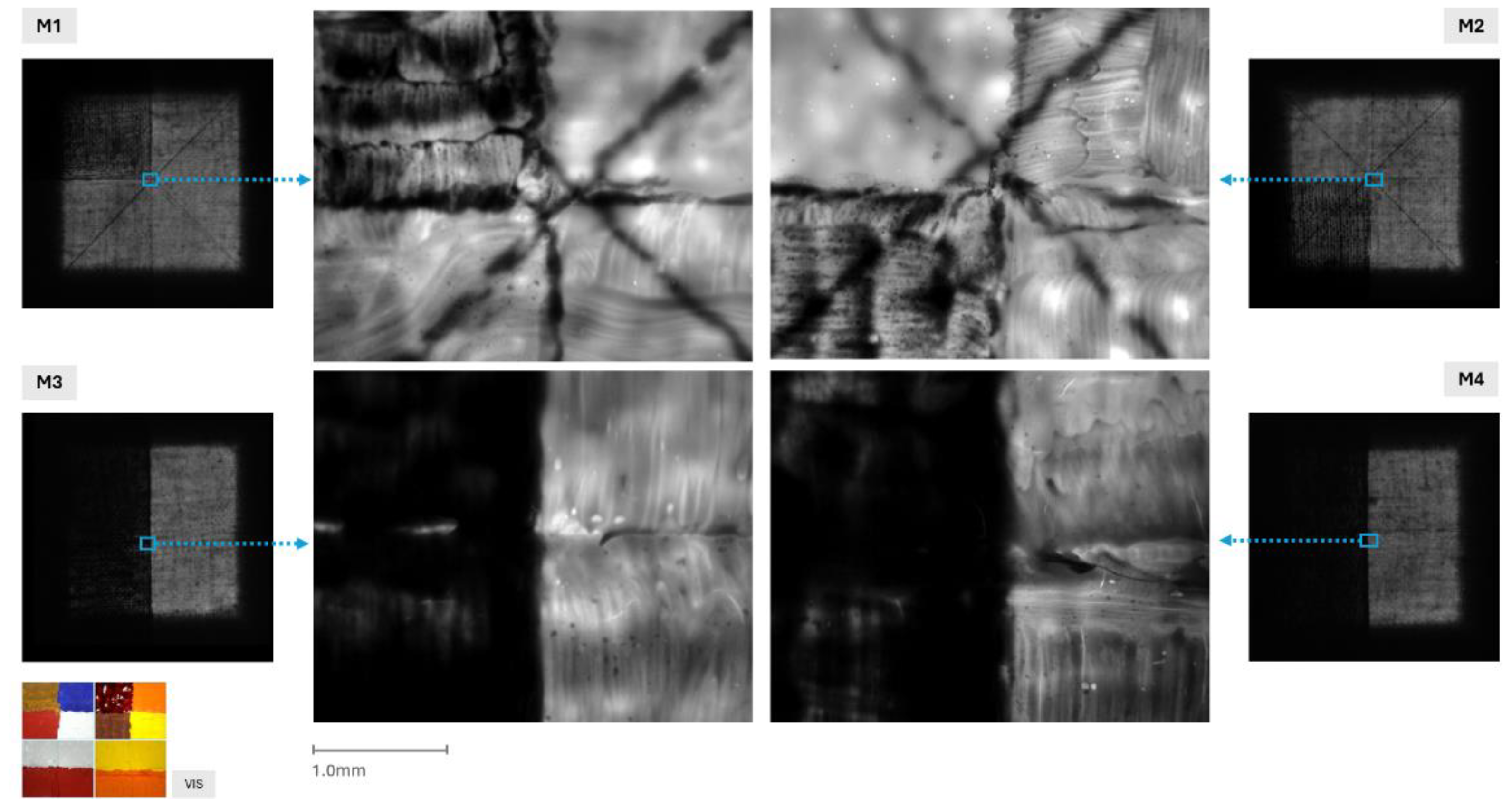 Preprints 183996 g007