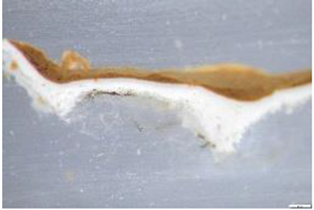 Preprints 183996 i001