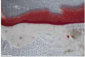 Preprints 183996 i002